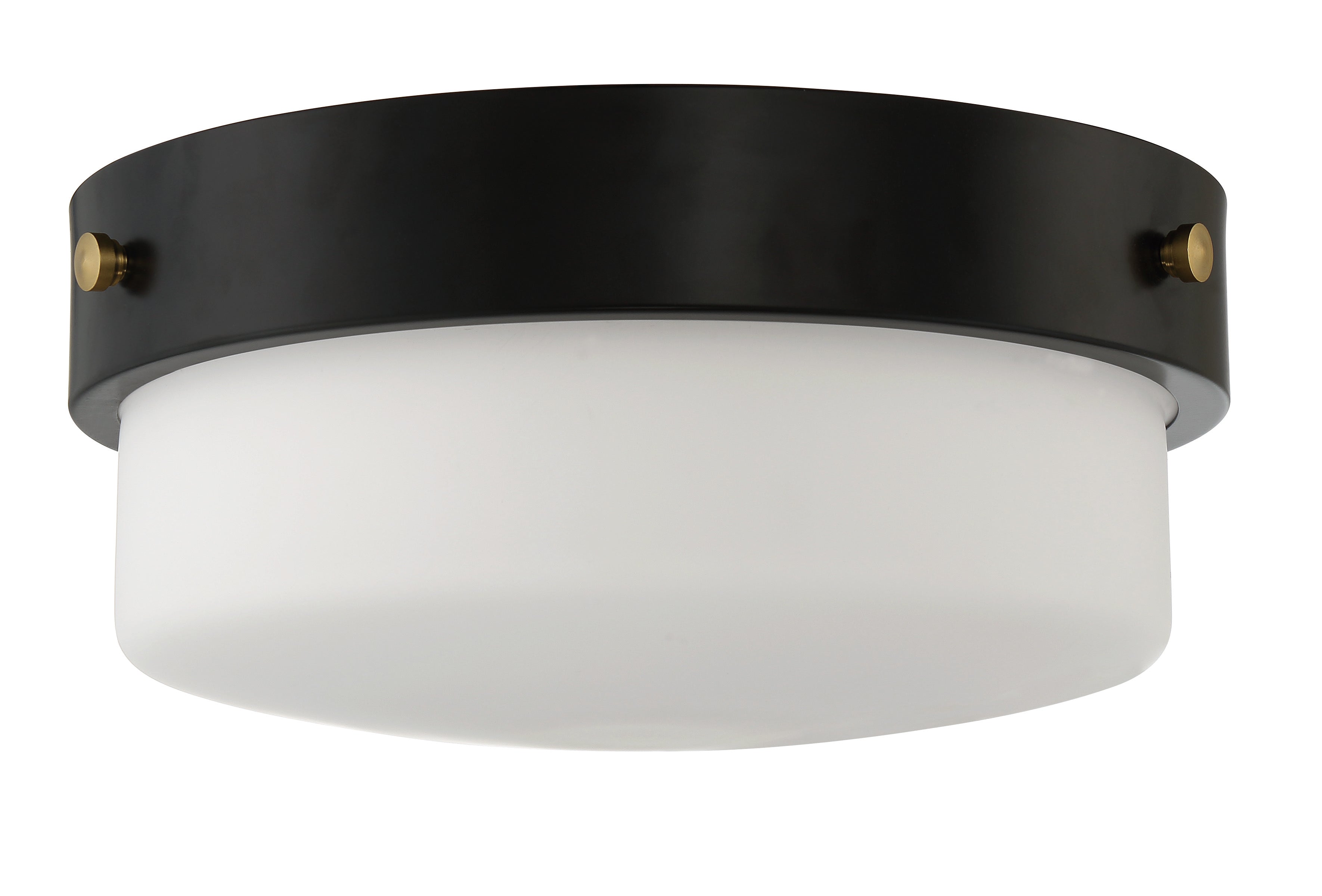 flat black ceiling mount