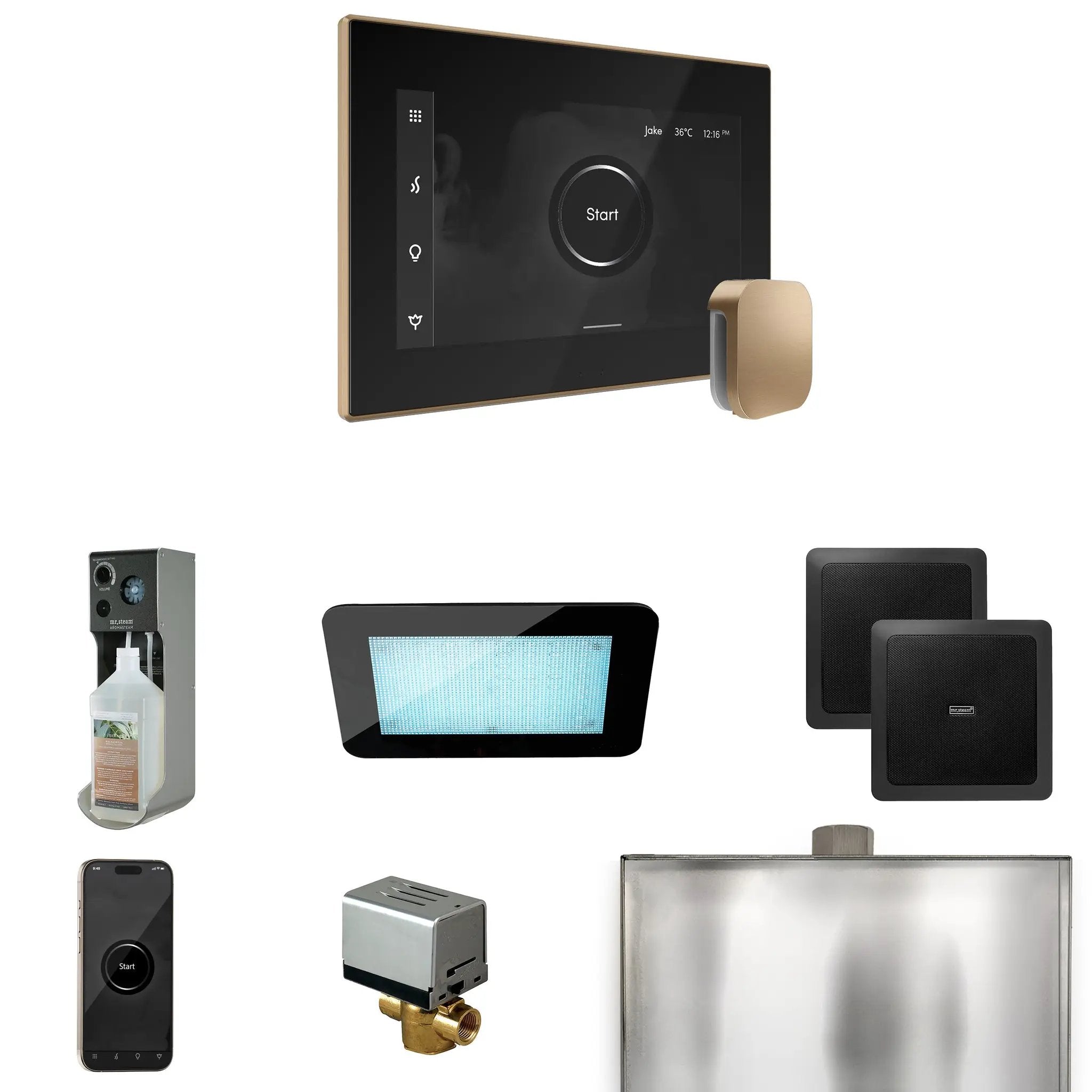 Mr Steam XDream Steam Shower Control Package with iSteamX Control and Steamhead by Mr Steam
