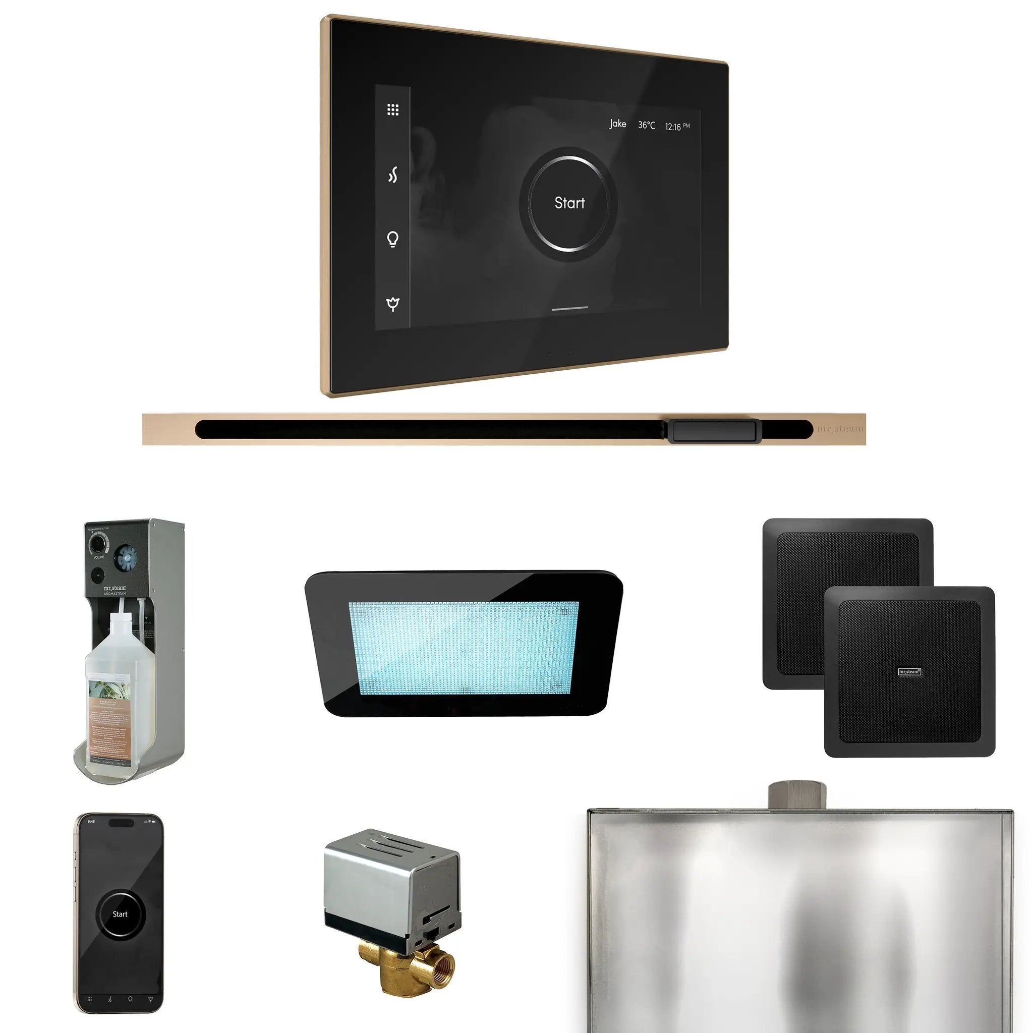 Mr Steam XDream Steam Shower Control Package with iSteamX Control and Linear Steamhead by Mr Steam