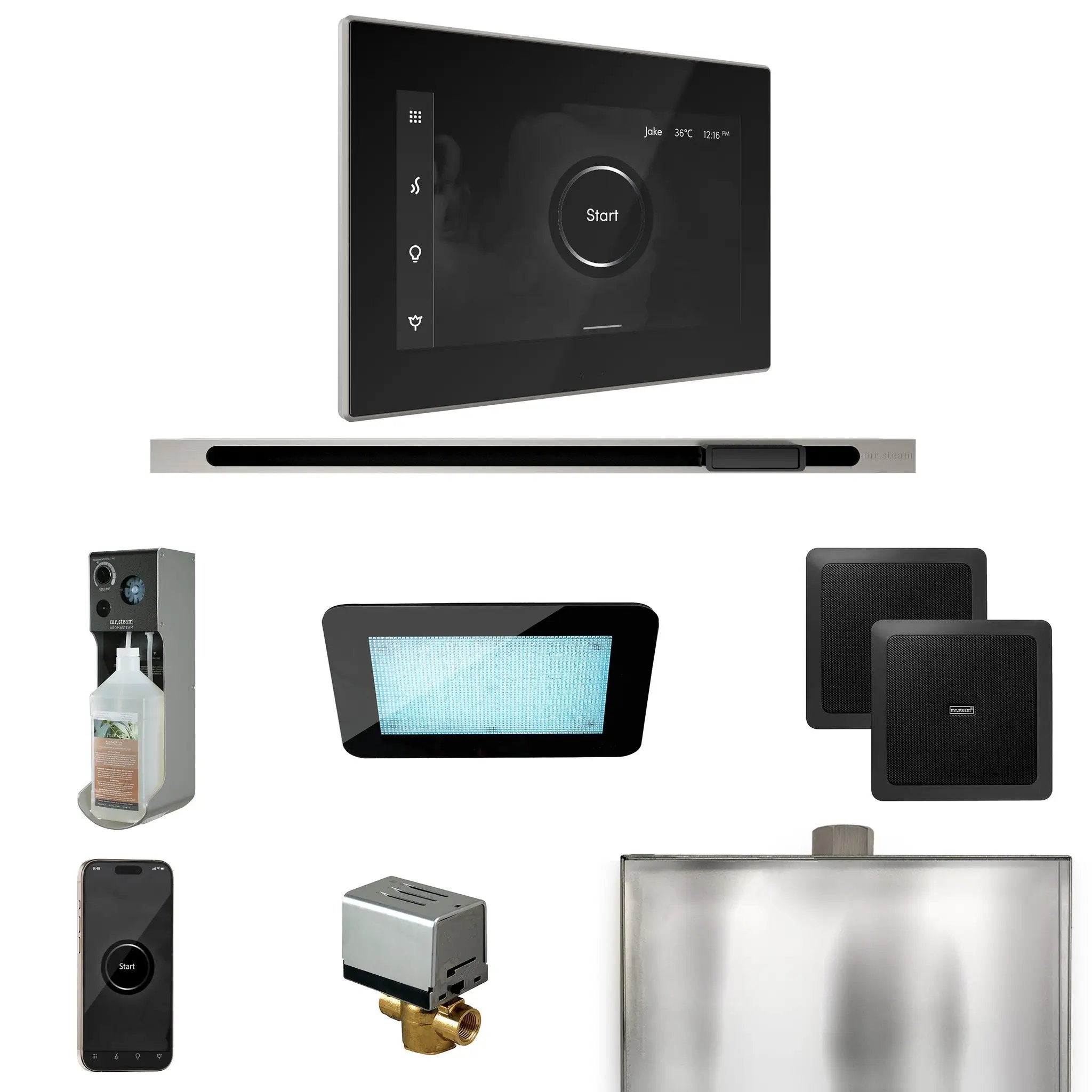 Mr Steam XDream Steam Shower Control Package with iSteamX Control and Linear Steamhead by Mr Steam