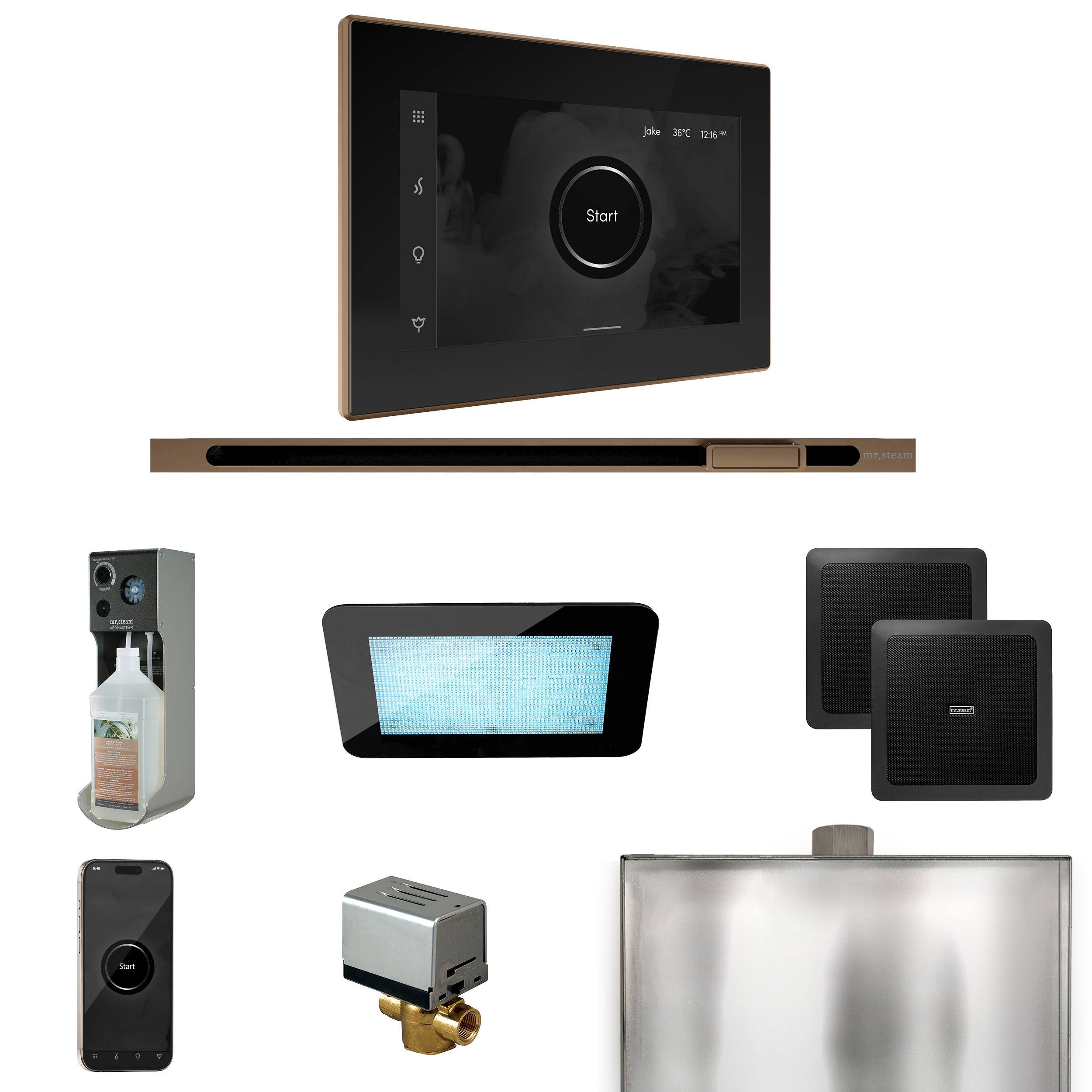 Mr Steam XDream Steam Shower Control Package with iSteamX Control and Linear Steamhead