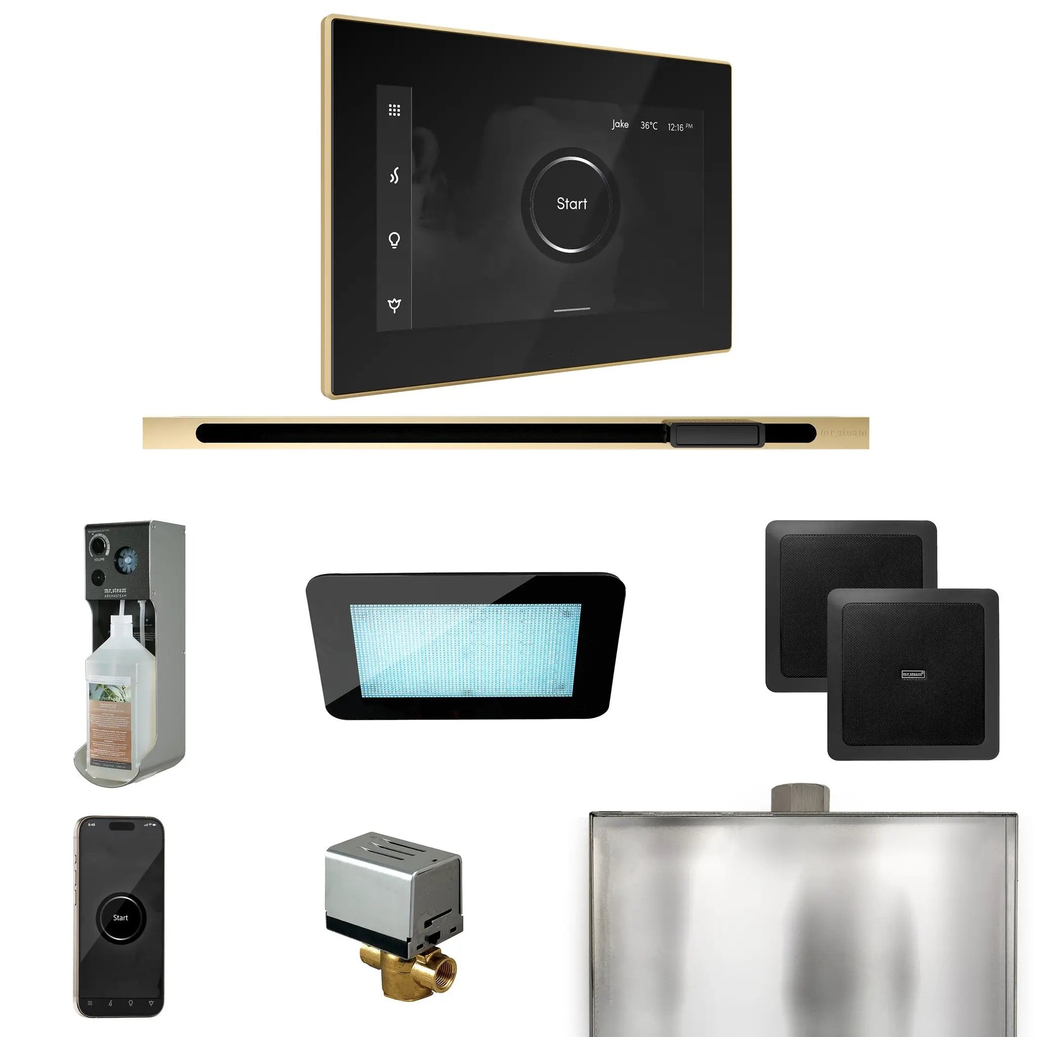 Mr Steam XDream Steam Shower Control Package with iSteamX Control and Linear Steamhead by Mr Steam