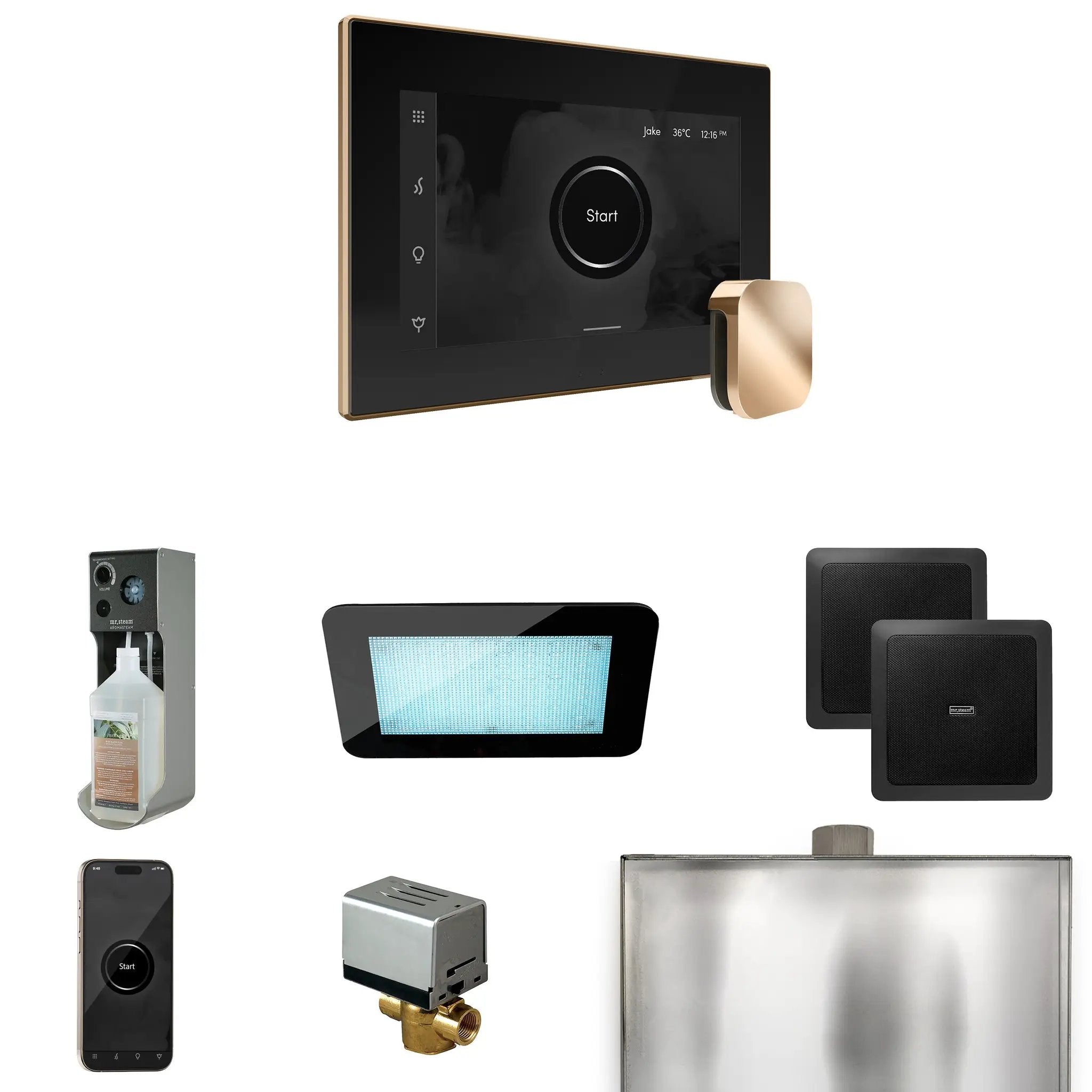 Mr Steam XDream Steam Shower Control Package with iSteamX Control and Steamhead by Mr Steam
