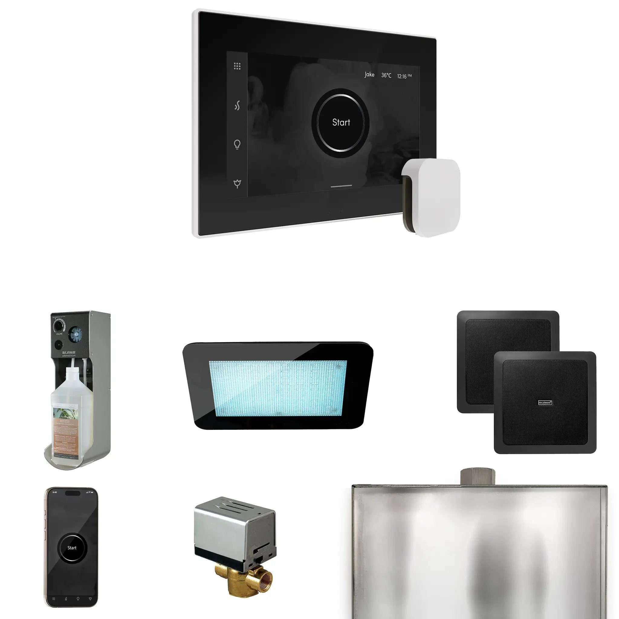 Mr Steam XDream Steam Shower Control Package with iSteamX Control and Steamhead by Mr Steam