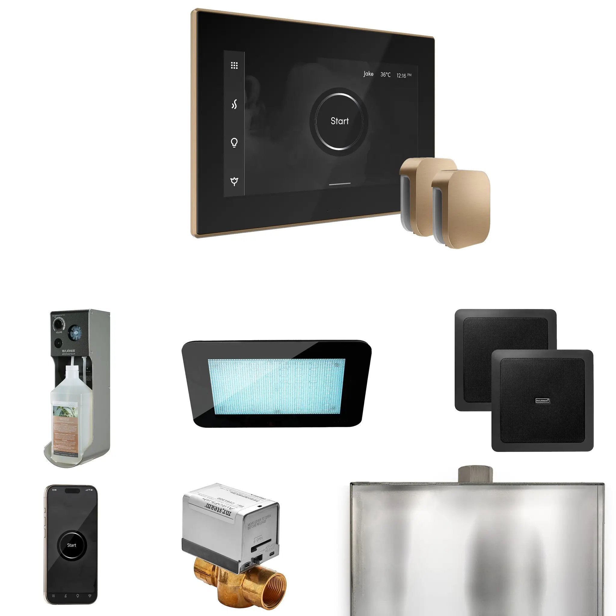 Mr Steam XDream Max Steam Shower Control Package with iSteamX Control and Steamhead by Mr Steam