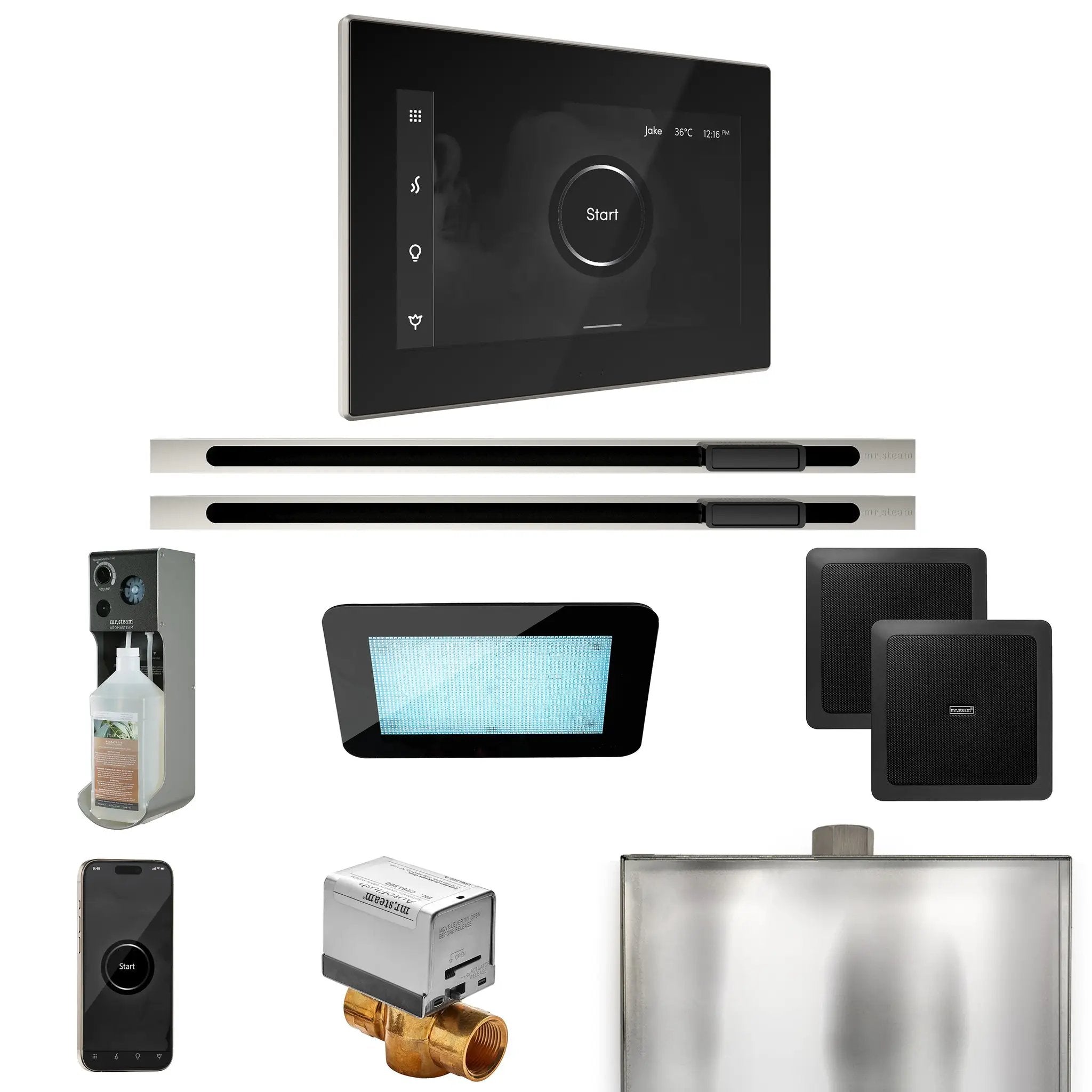 Mr Steam XDream Max Steam Shower Control Package with iSteamX Control and Linear Steamhead by Mr Steam