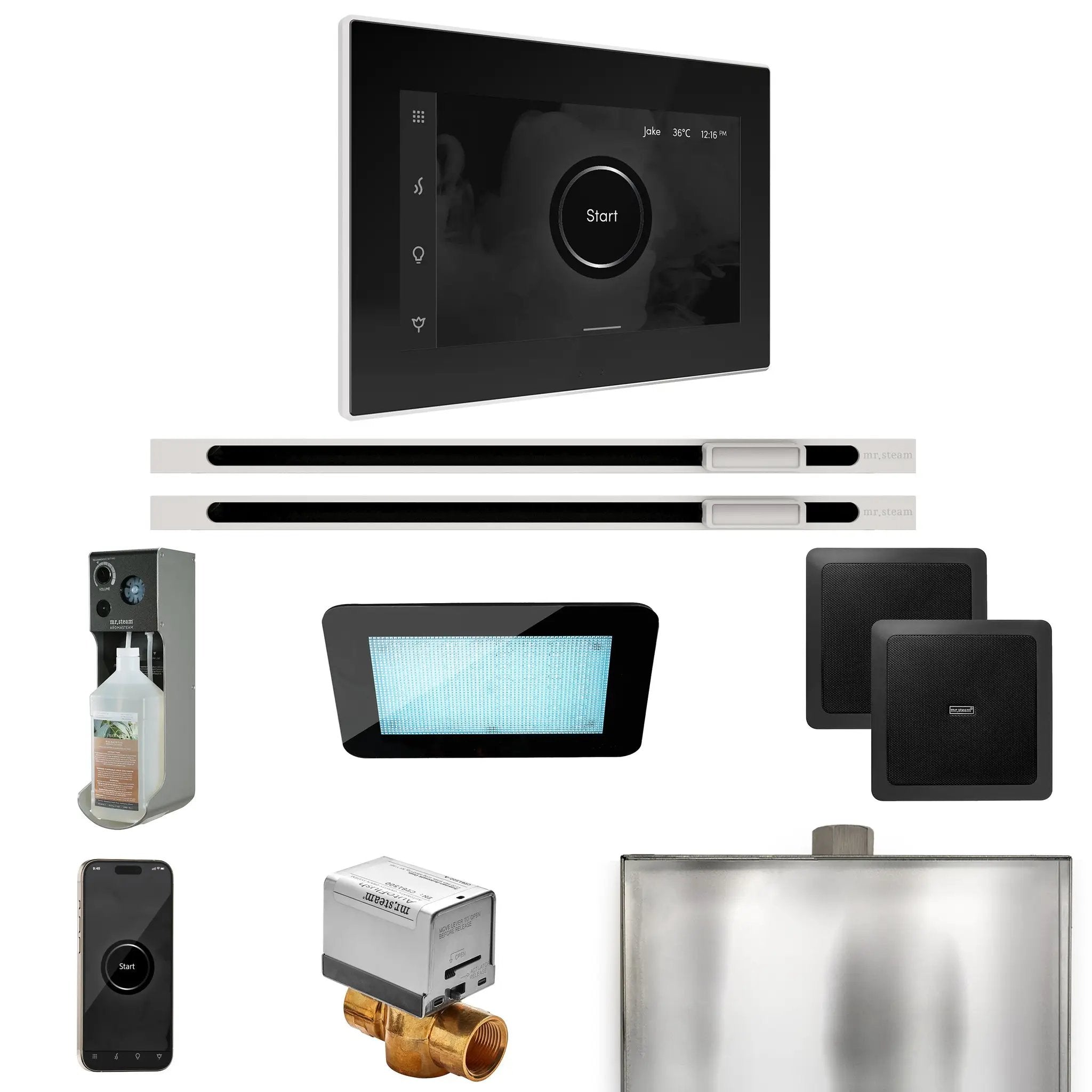 Mr Steam XDream Max Steam Shower Control Package with iSteamX Control and Linear Steamhead by Mr Steam