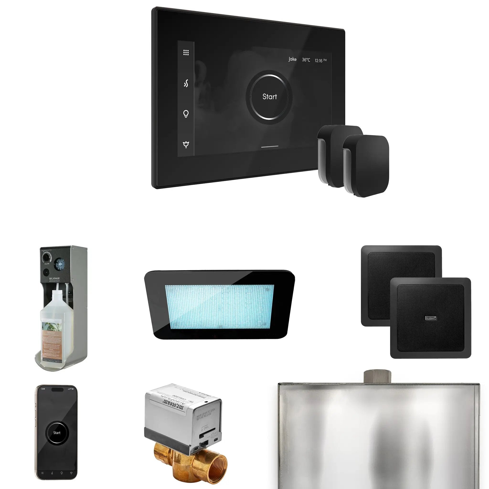 Mr Steam XDream Max Steam Shower Control Package with iSteamX Control and Steamhead by Mr Steam