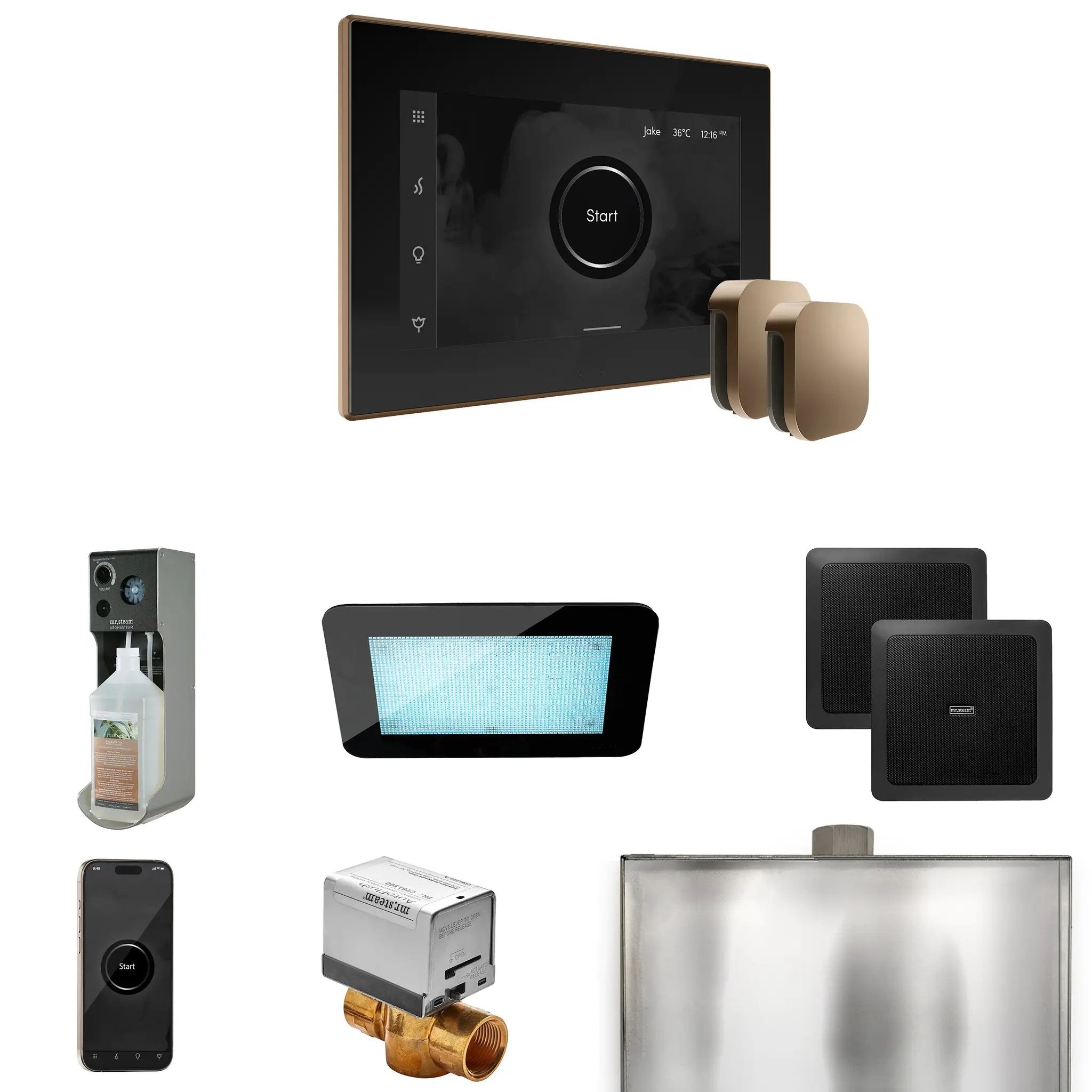 Mr Steam XDream Max Steam Shower Control Package with iSteamX Control and Steamhead by Mr Steam