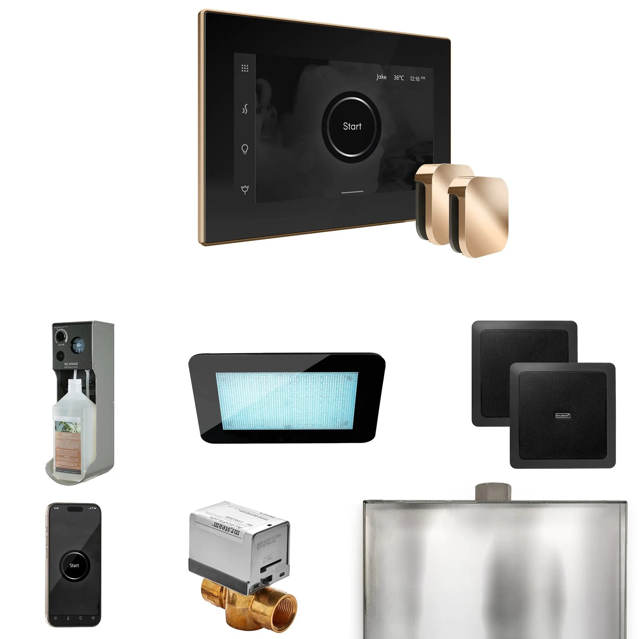 Mr Steam XDream Max Steam Shower Control Package with iSteamX Control and Steamhead by Mr Steam