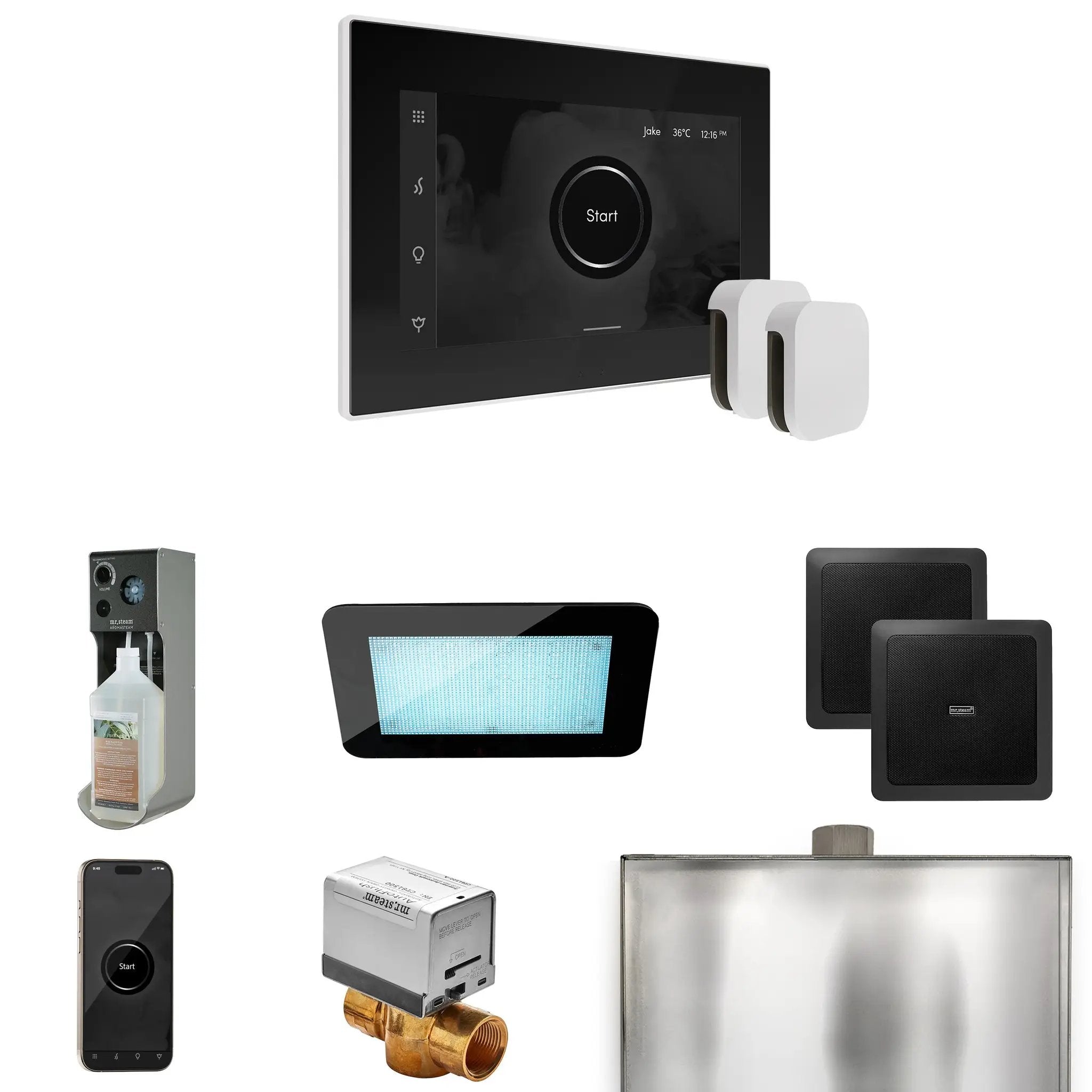 Mr Steam XDream Max Steam Shower Control Package with iSteamX Control and Steamhead by Mr Steam
