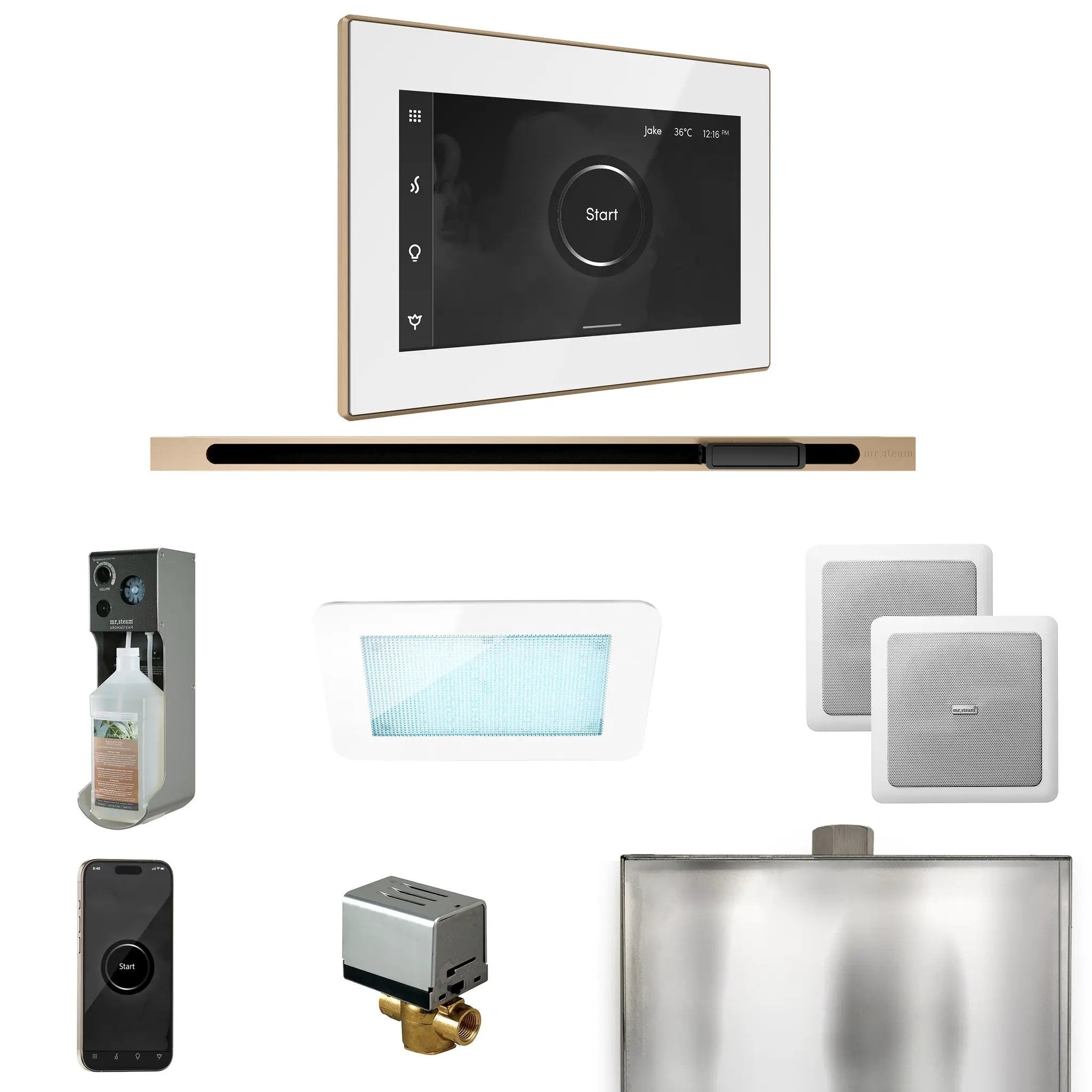 Mr Steam XDream Steam Shower Control Package with iSteamX Control and Linear Steamhead by Mr Steam