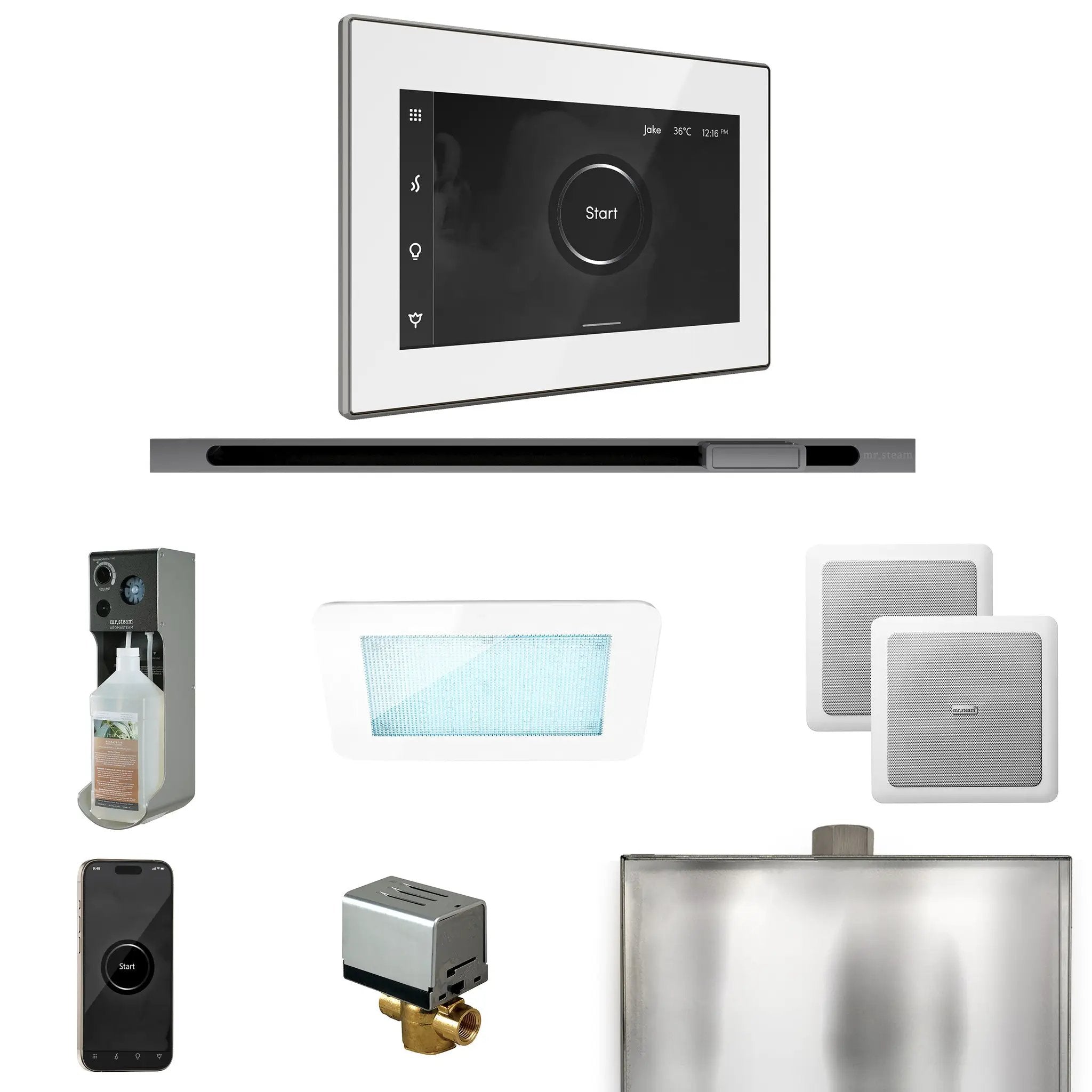 Mr Steam XDream Steam Shower Control Package with iSteamX Control and Linear Steamhead by Mr Steam