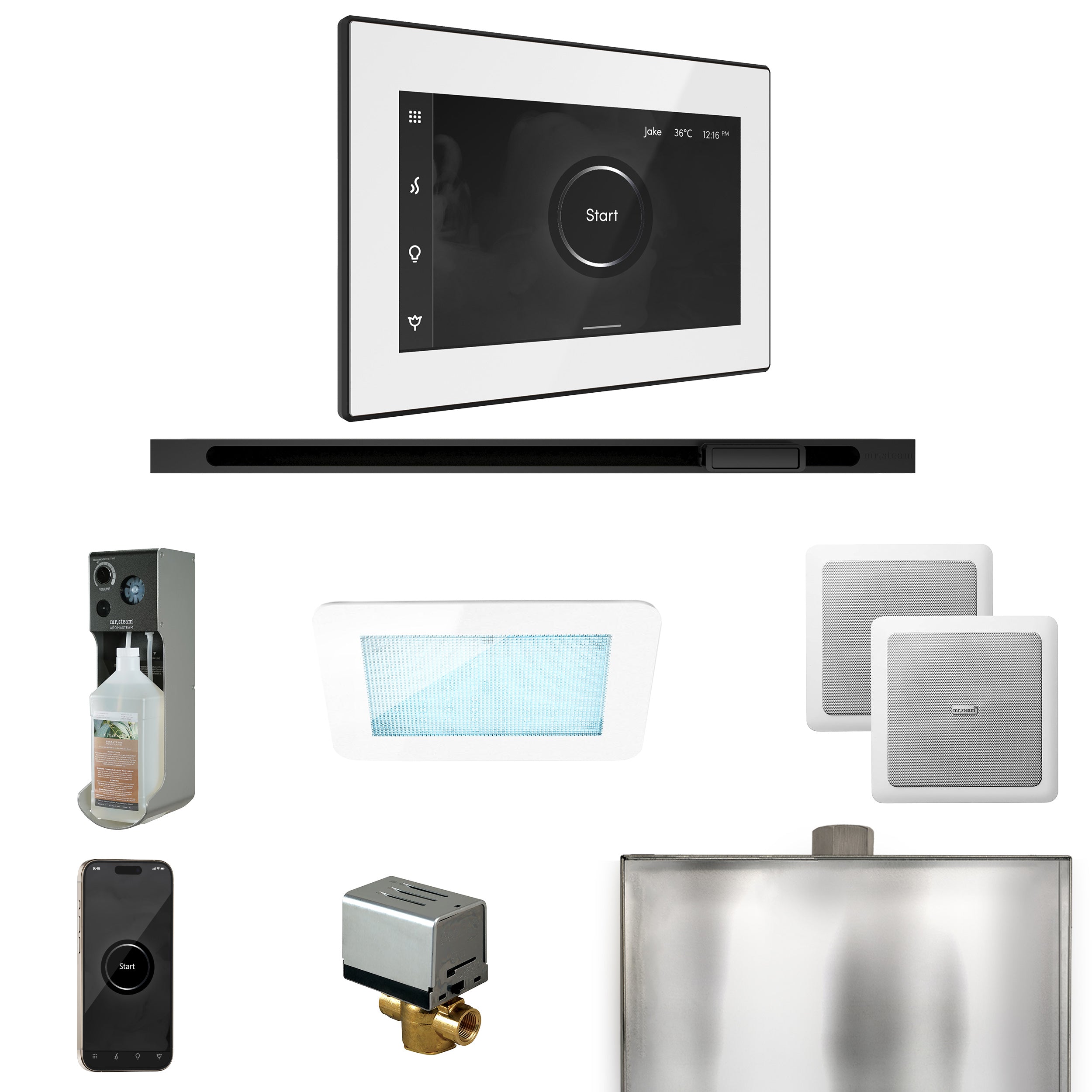 Mr Steam XDream Steam Shower Control Package with iSteamX Control and Linear Steamhead