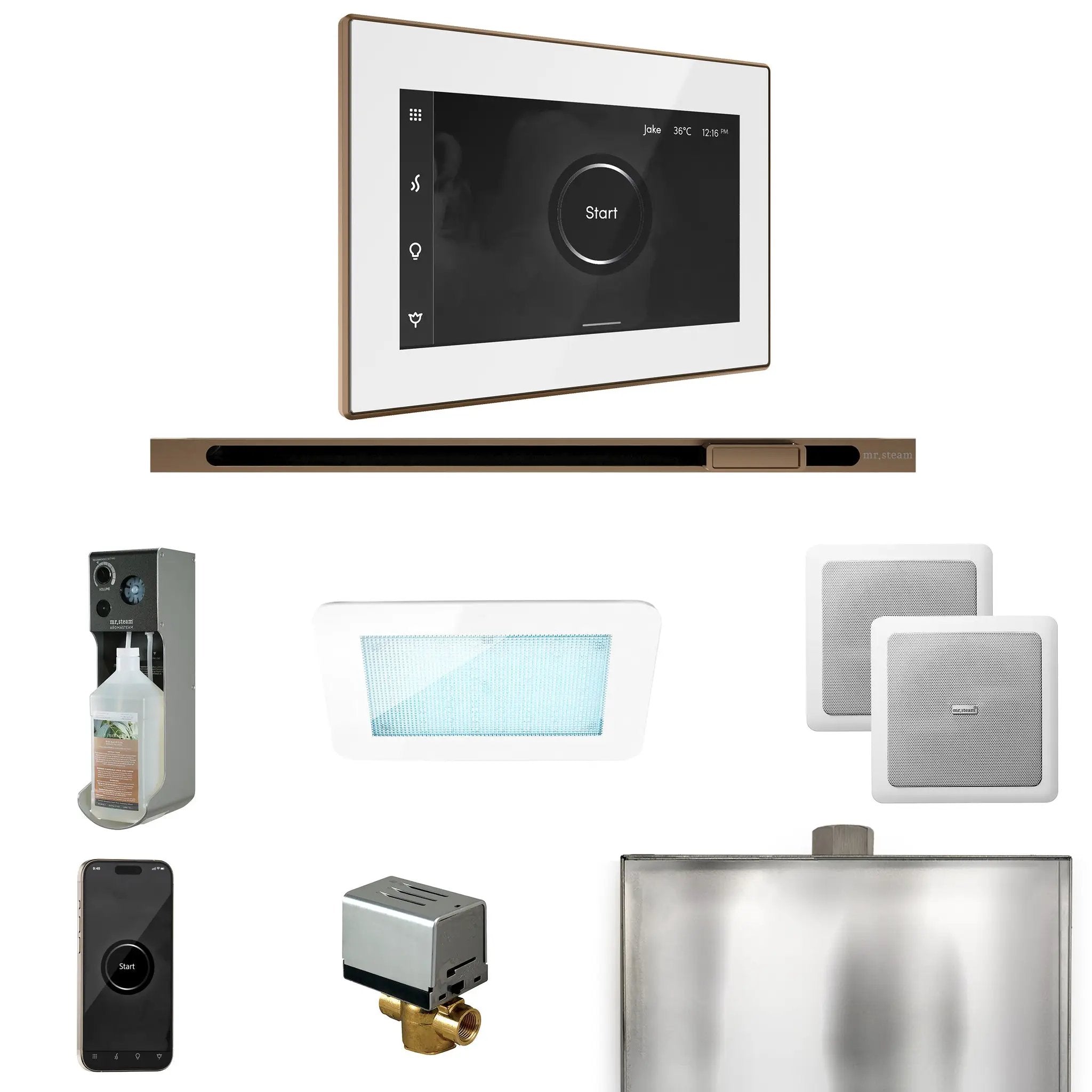 Mr Steam XDream Steam Shower Control Package with iSteamX Control and Linear Steamhead by Mr Steam