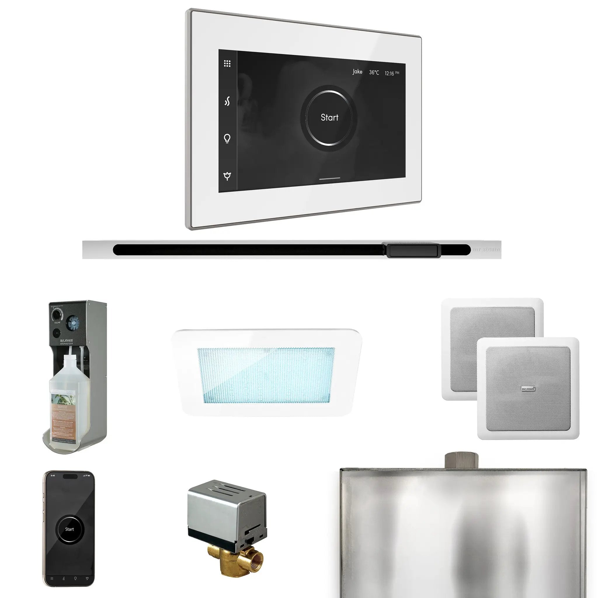 Mr Steam XDream Steam Shower Control Package with iSteamX Control and Linear Steamhead by Mr Steam