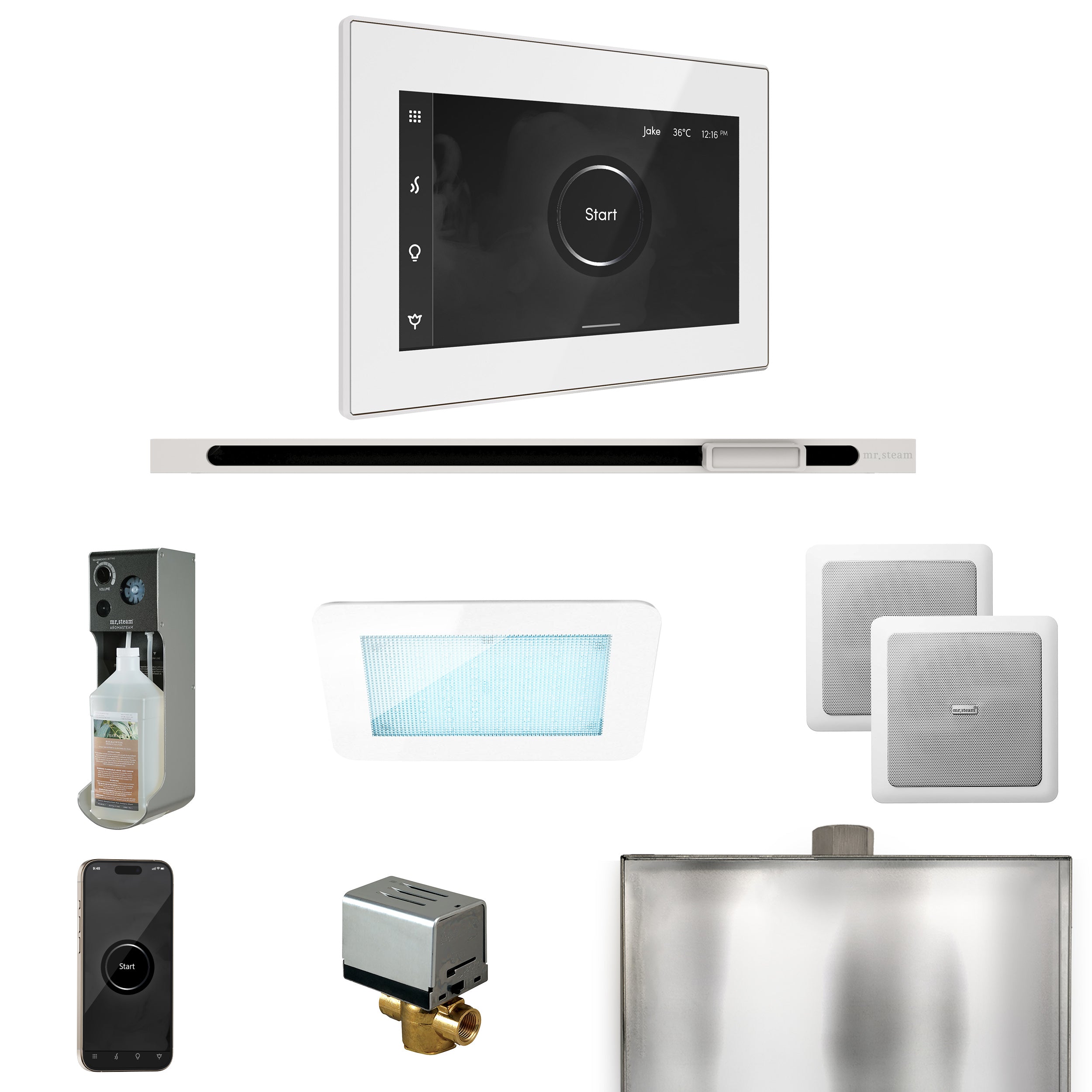 Mr Steam XDream Steam Shower Control Package with iSteamX Control and Linear Steamhead