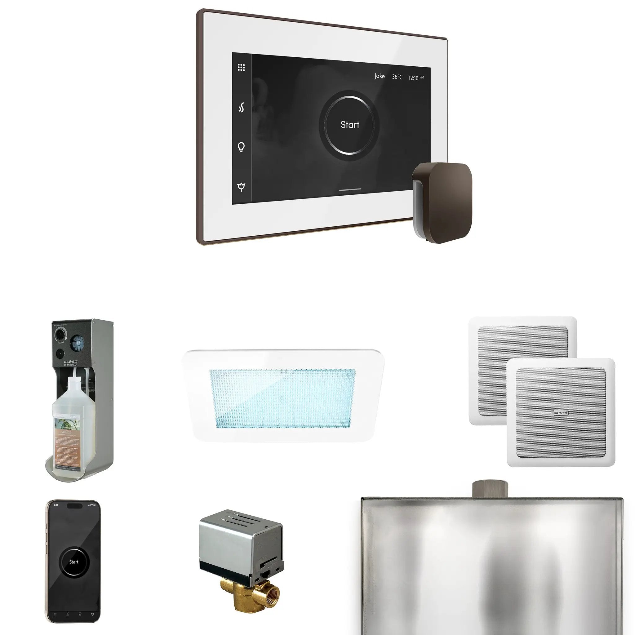 Mr Steam XDream Steam Shower Control Package with iSteamX Control and Steamhead by Mr Steam