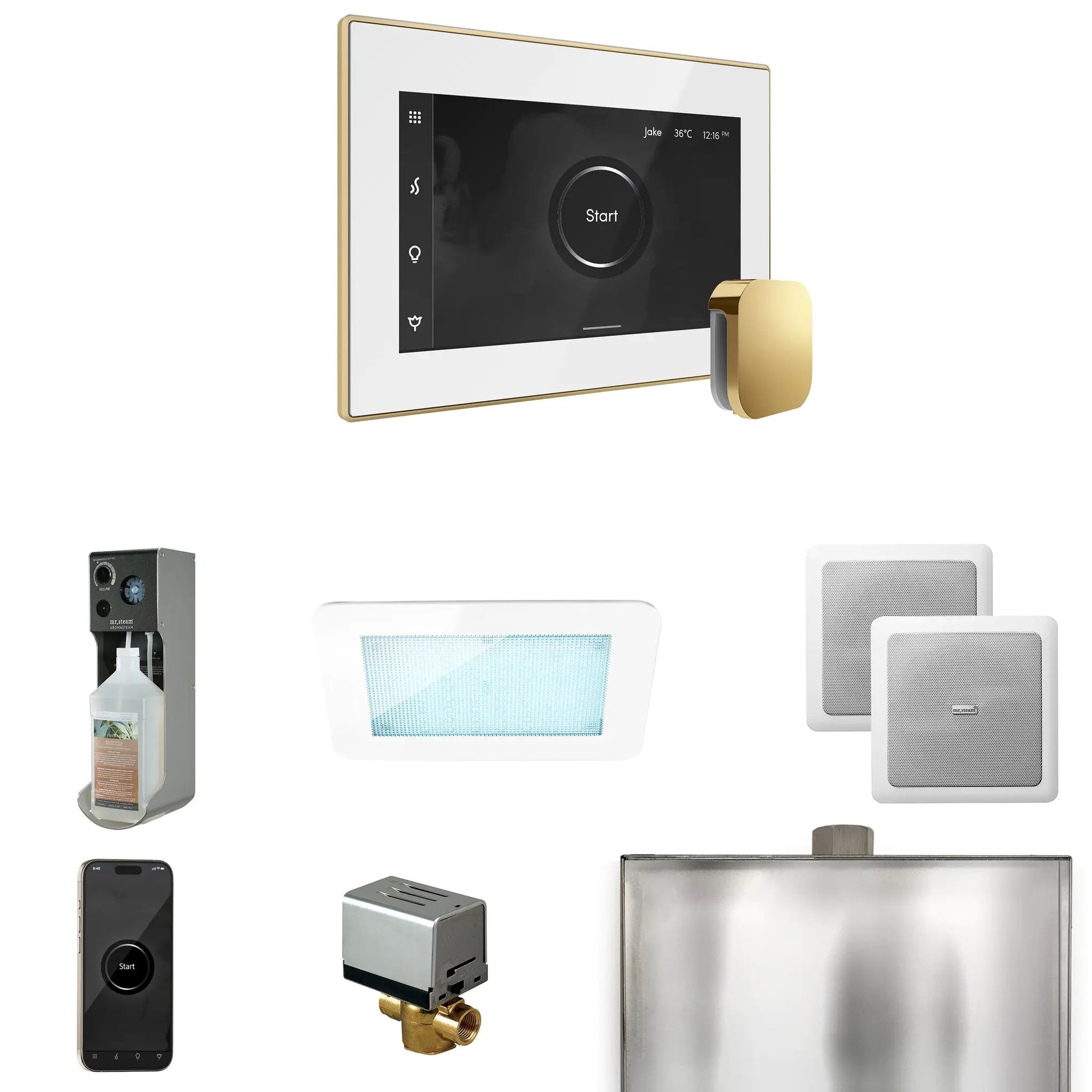 Mr Steam XDream Steam Shower Control Package with iSteamX Control and Steamhead by Mr Steam
