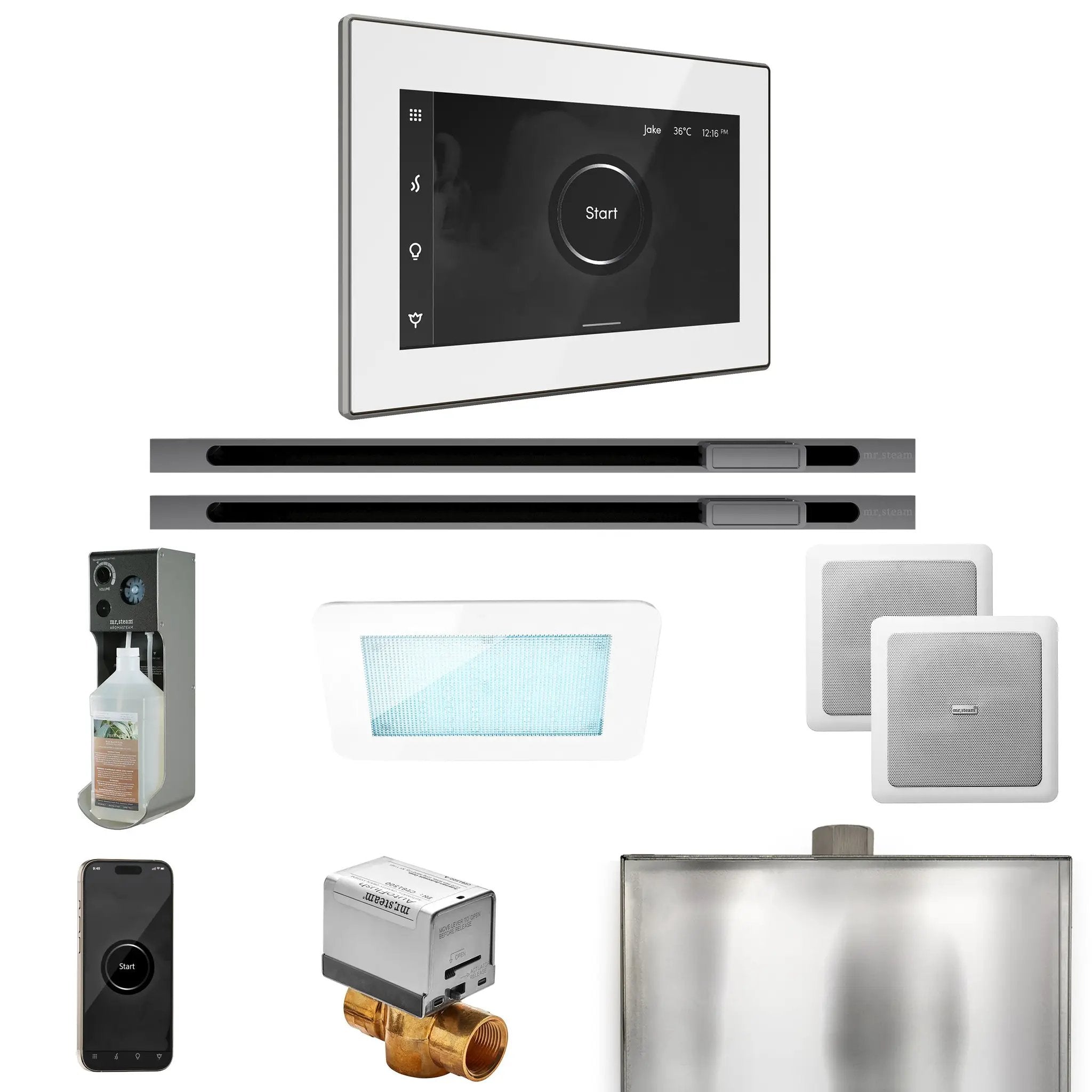 Mr Steam XDream Max Steam Shower Control Package with iSteamX Control and Linear Steamhead by Mr Steam