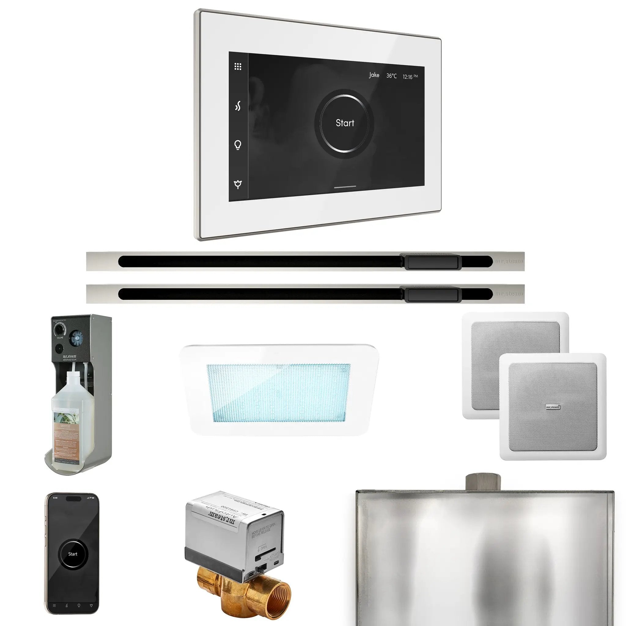 Mr Steam XDream Max Steam Shower Control Package with iSteamX Control and Linear Steamhead by Mr Steam