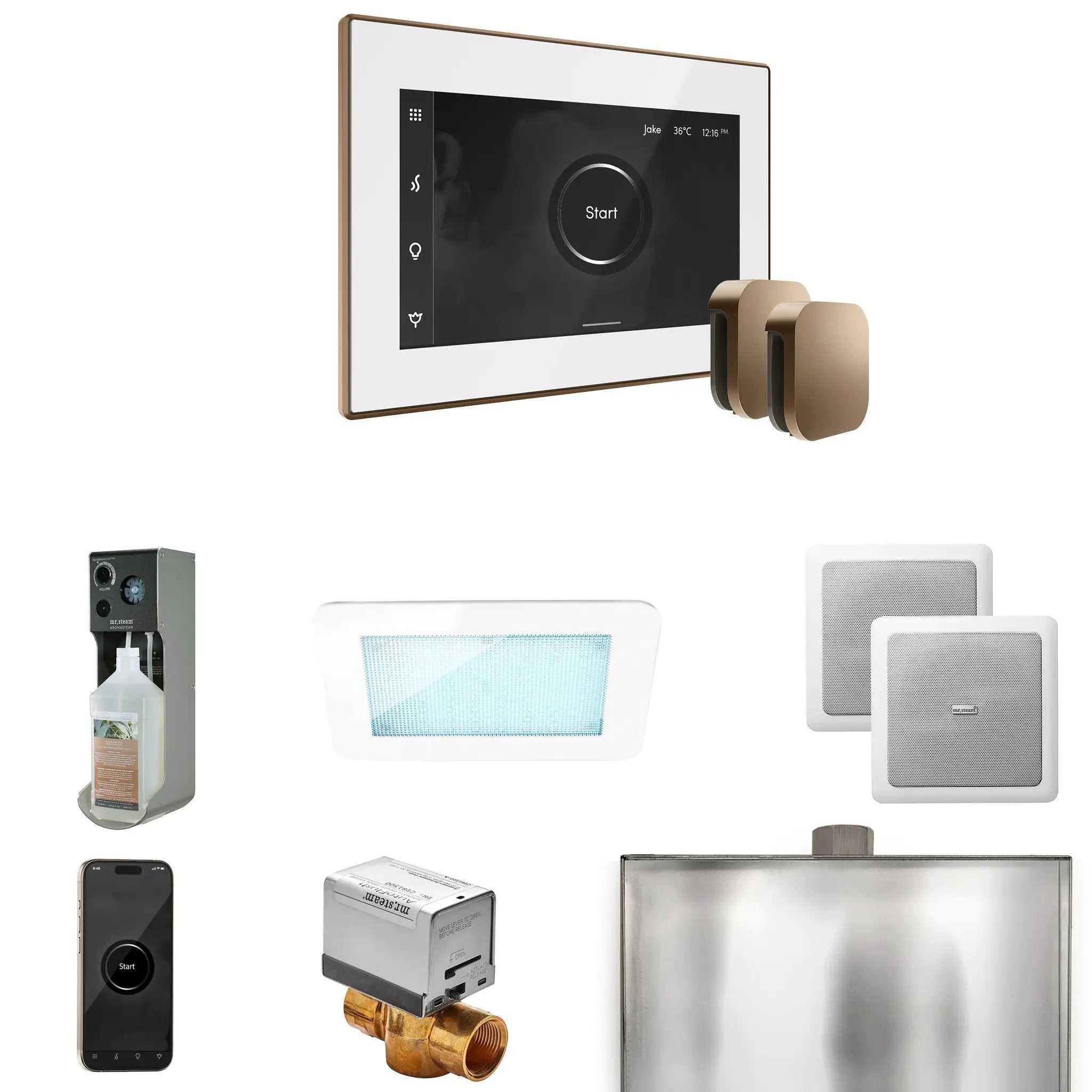 Mr Steam XDream Max Steam Shower Control Package with iSteamX Control and Steamhead by Mr Steam