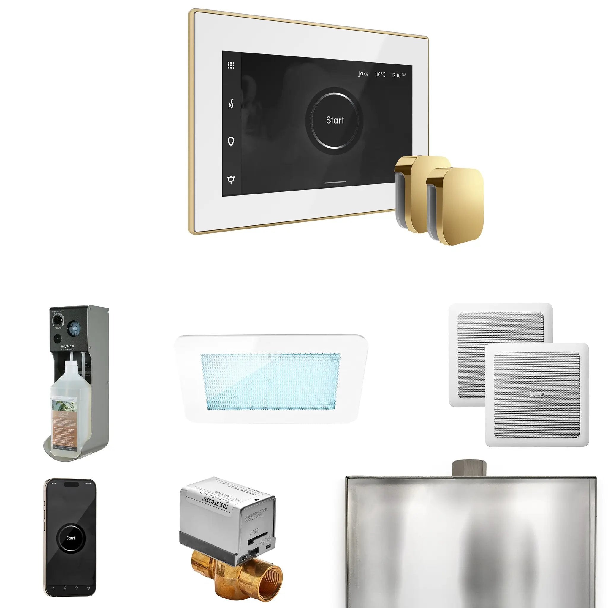 Mr Steam XDream Max Steam Shower Control Package with iSteamX Control and Steamhead by Mr Steam