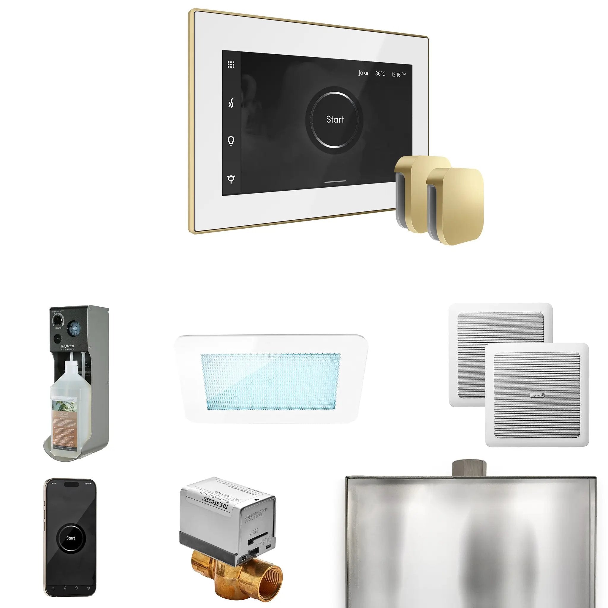 Mr Steam XDream Max Steam Shower Control Package with iSteamX Control and Steamhead by Mr Steam