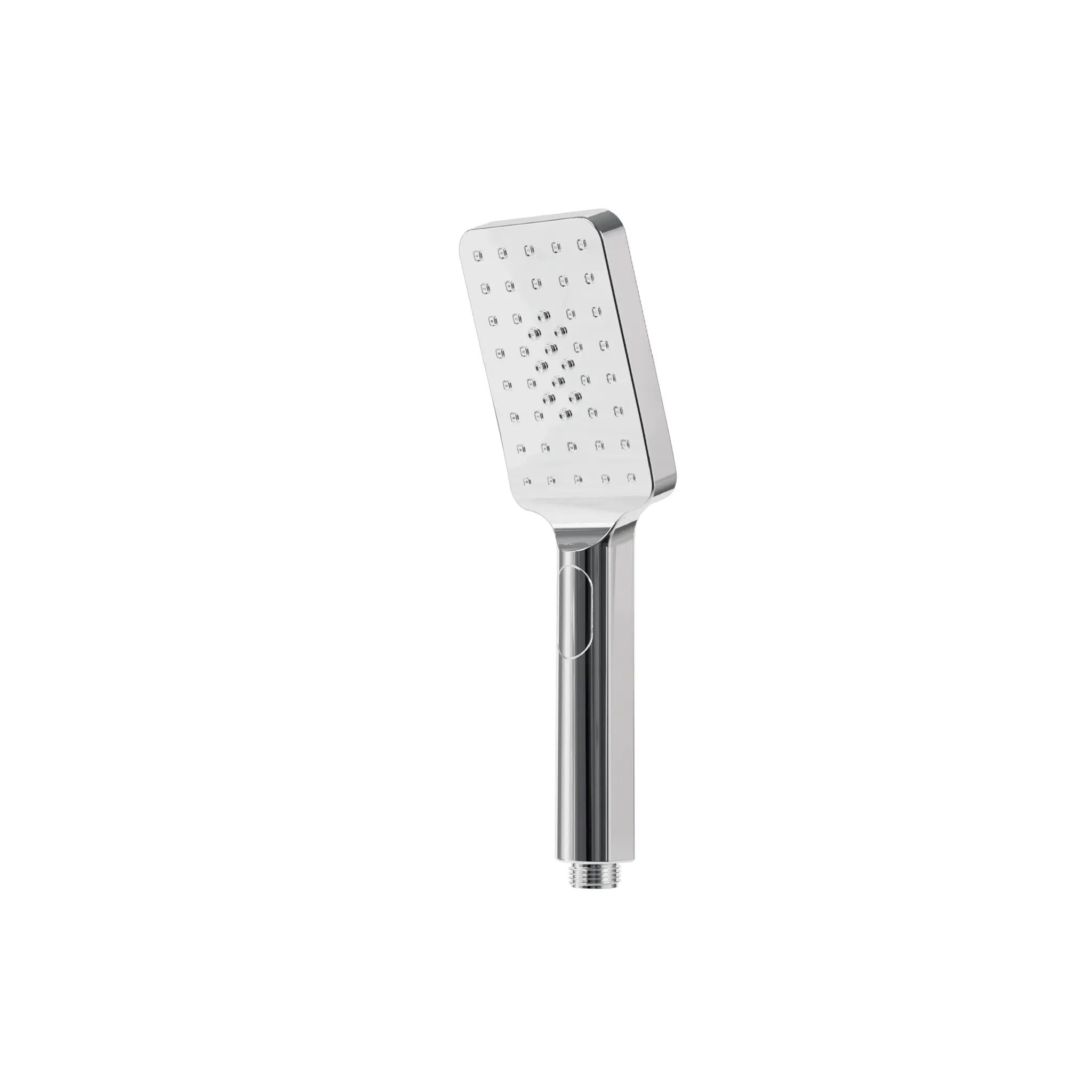 polished chrome hand shower