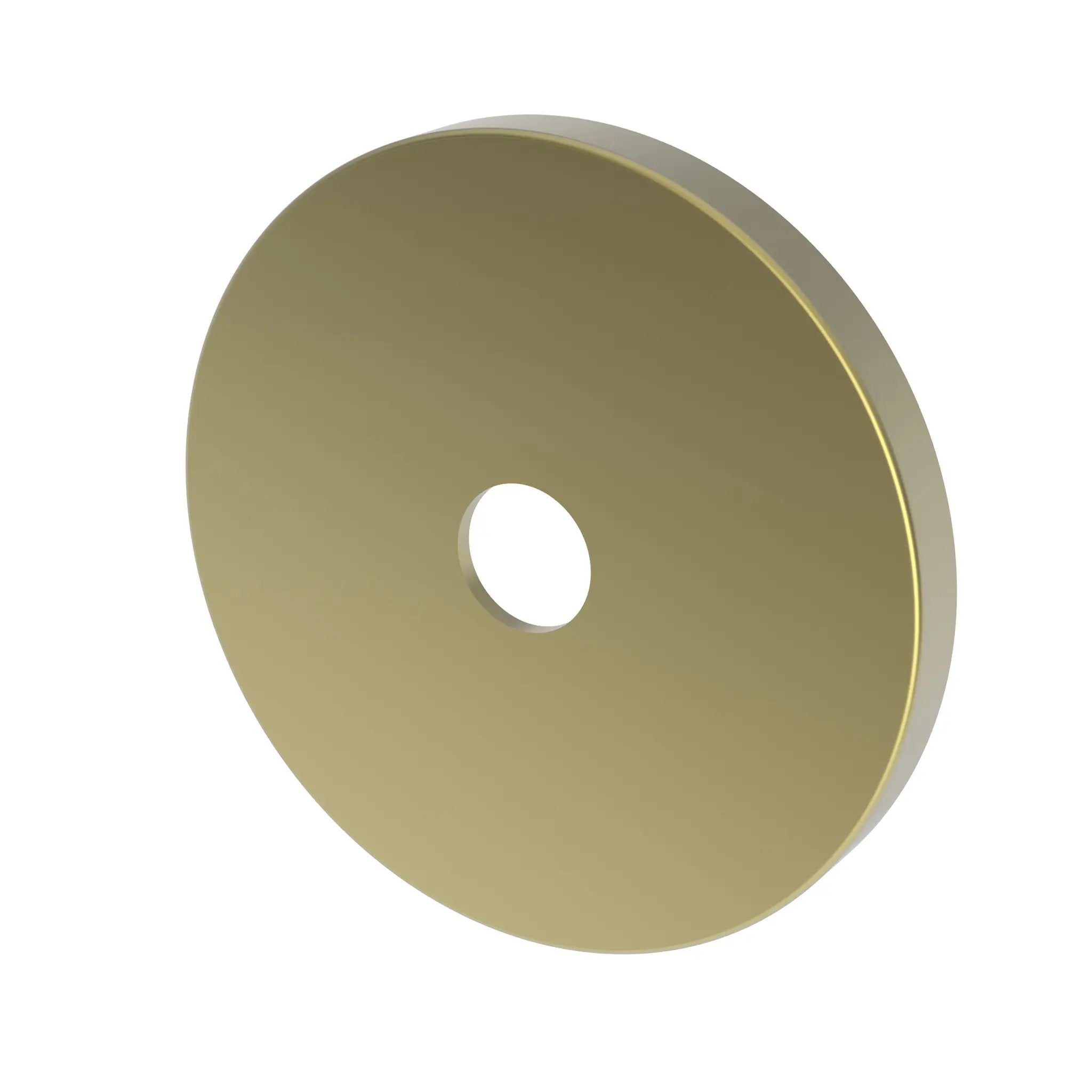 Newport Brass Tub & Shower Diverter Plate by Newport Brass
