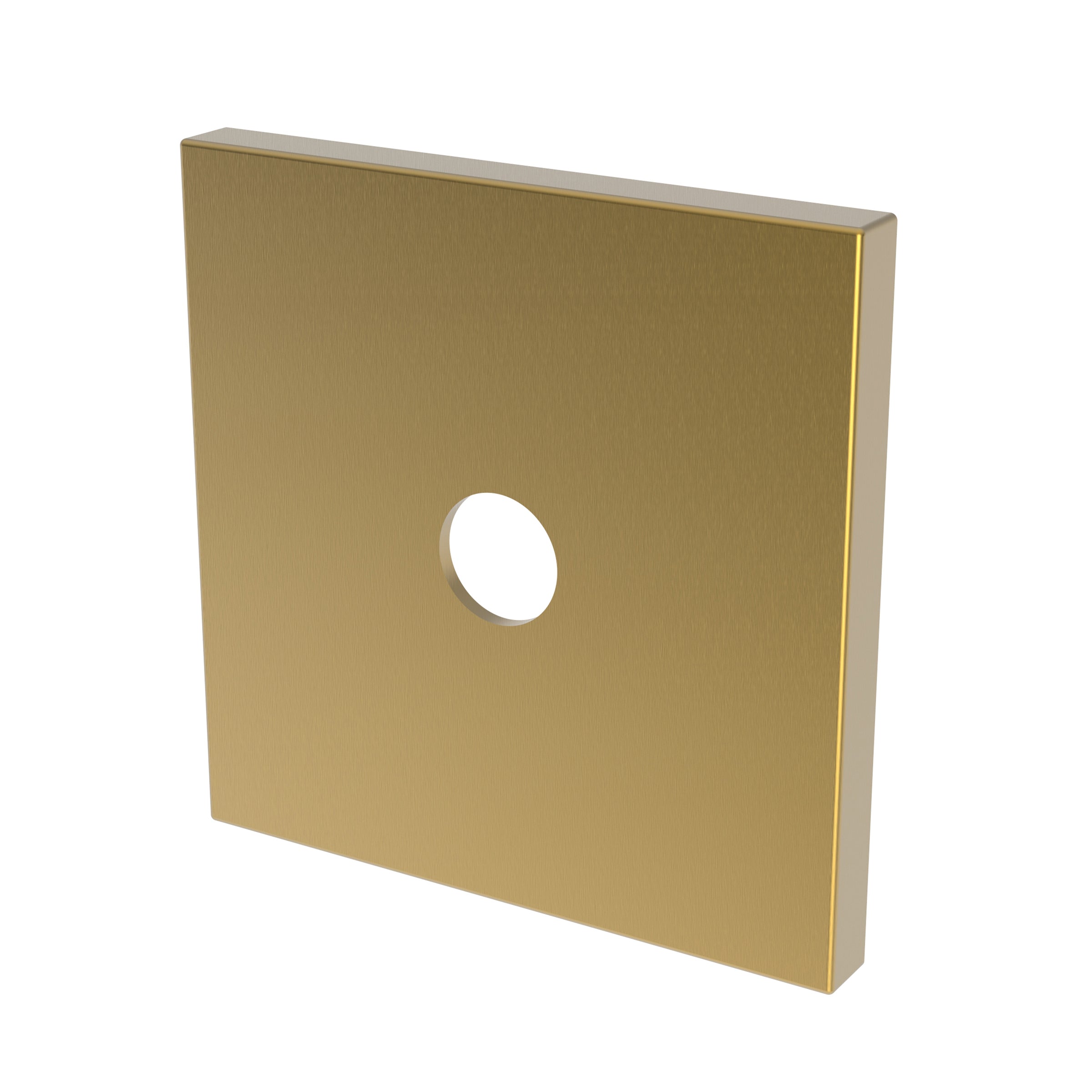 Newport Brass Tub & Shower Diverter Plate