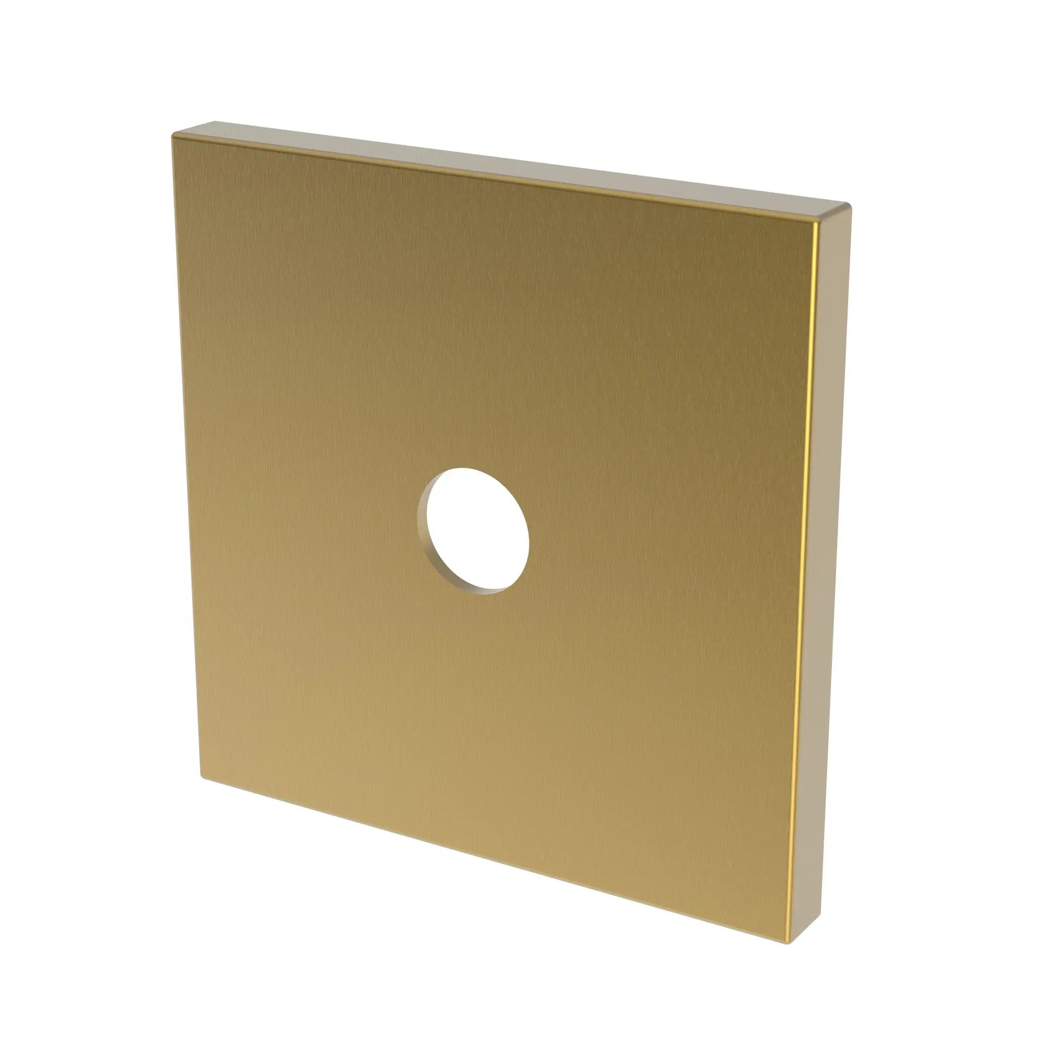 Newport Brass Tub & Shower Diverter Plate by Newport Brass