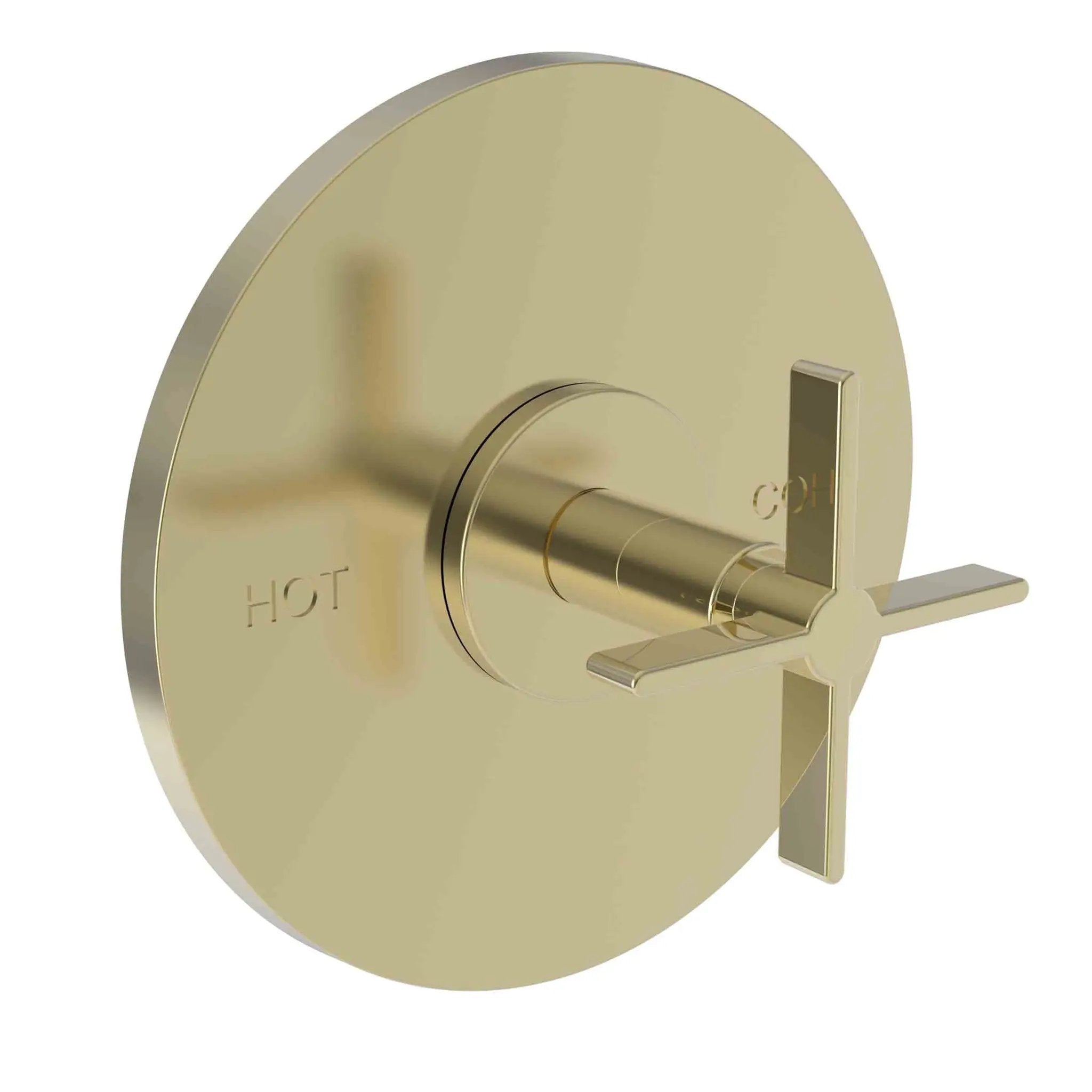 Newport Brass Tolmin Balanced Pressure Shower Trim Plate with Handle. Less showerhead, arm and flange. by Newport Brass