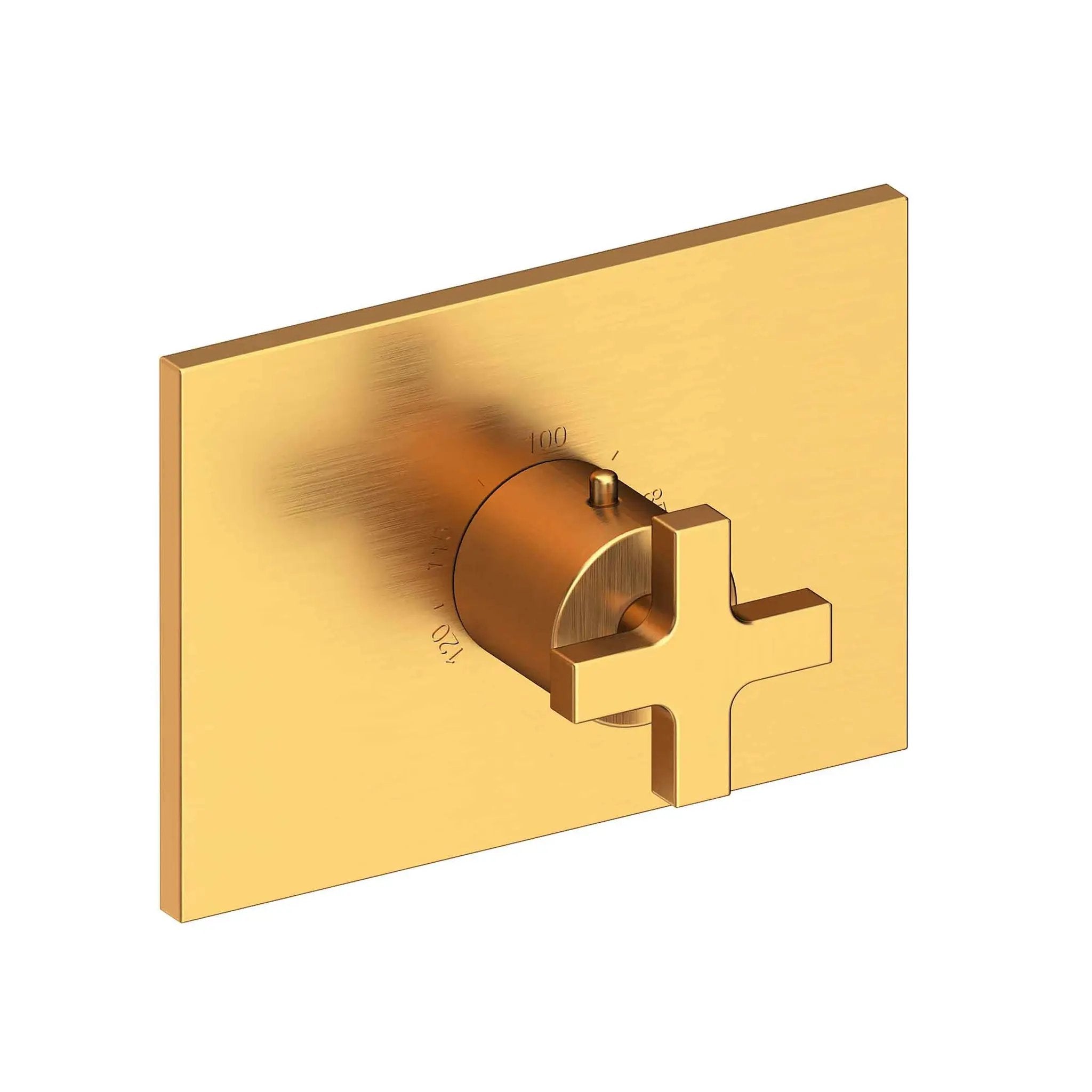 Newport Brass Secant 3/4" Rectangular Thermostatic Trim Plate with Handle by Newport Brass