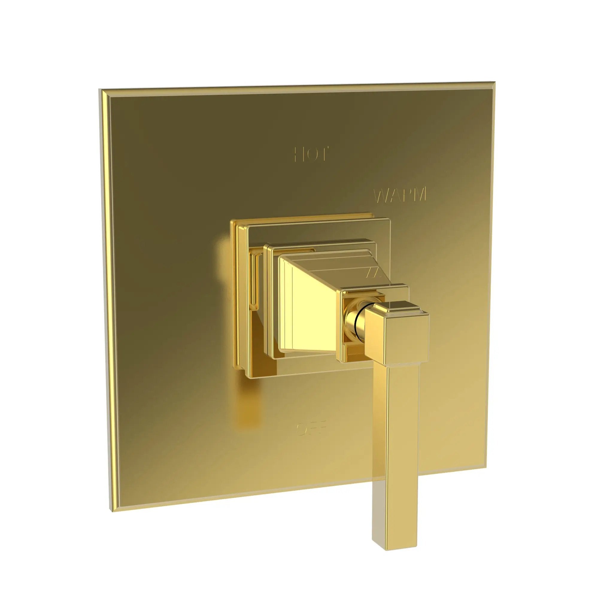 Newport Brass Malvina Balanced Pressure Shower Trim Plate with Handle. Less showerhead, arm and flange. by Newport Brass