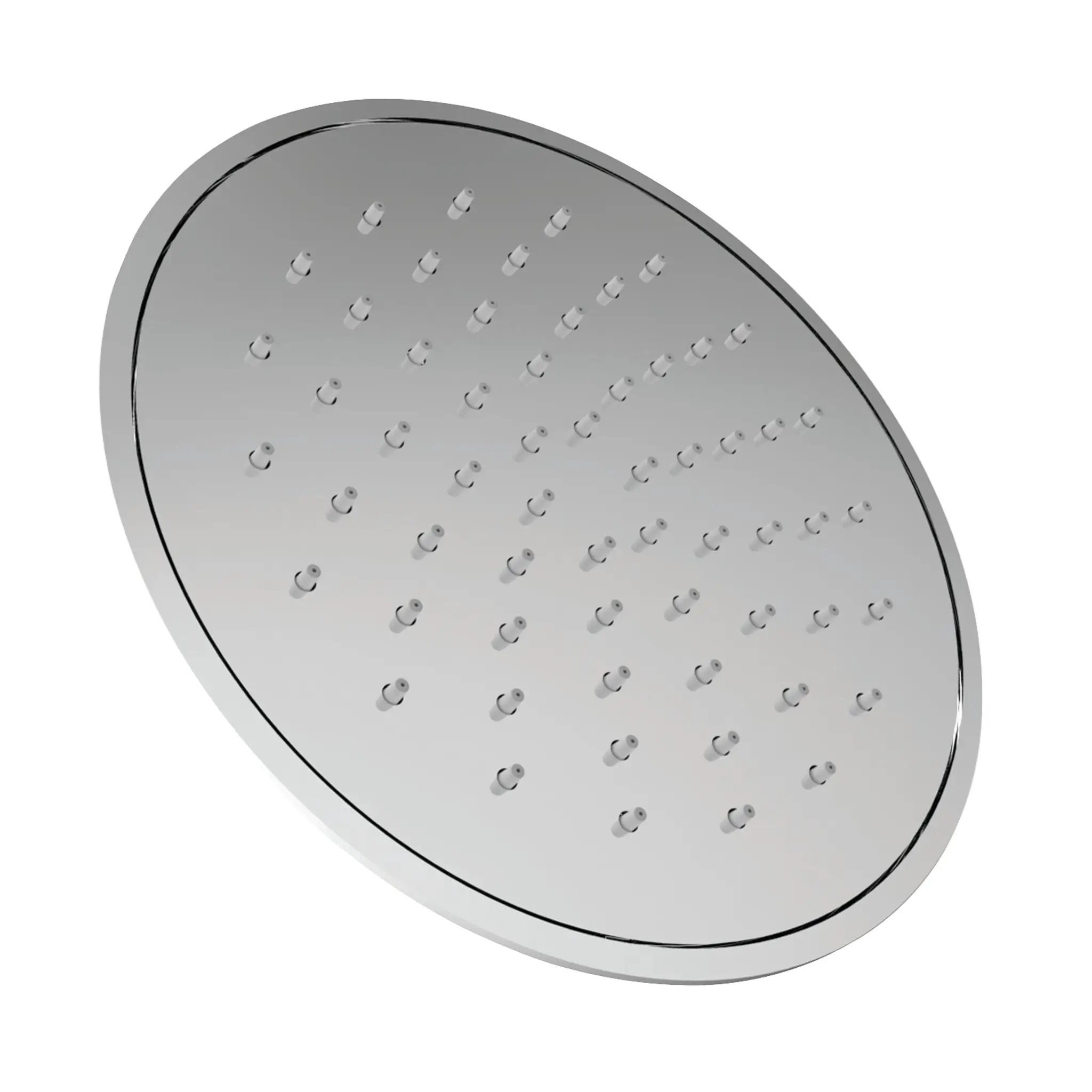 Polished Chrome Shower Head