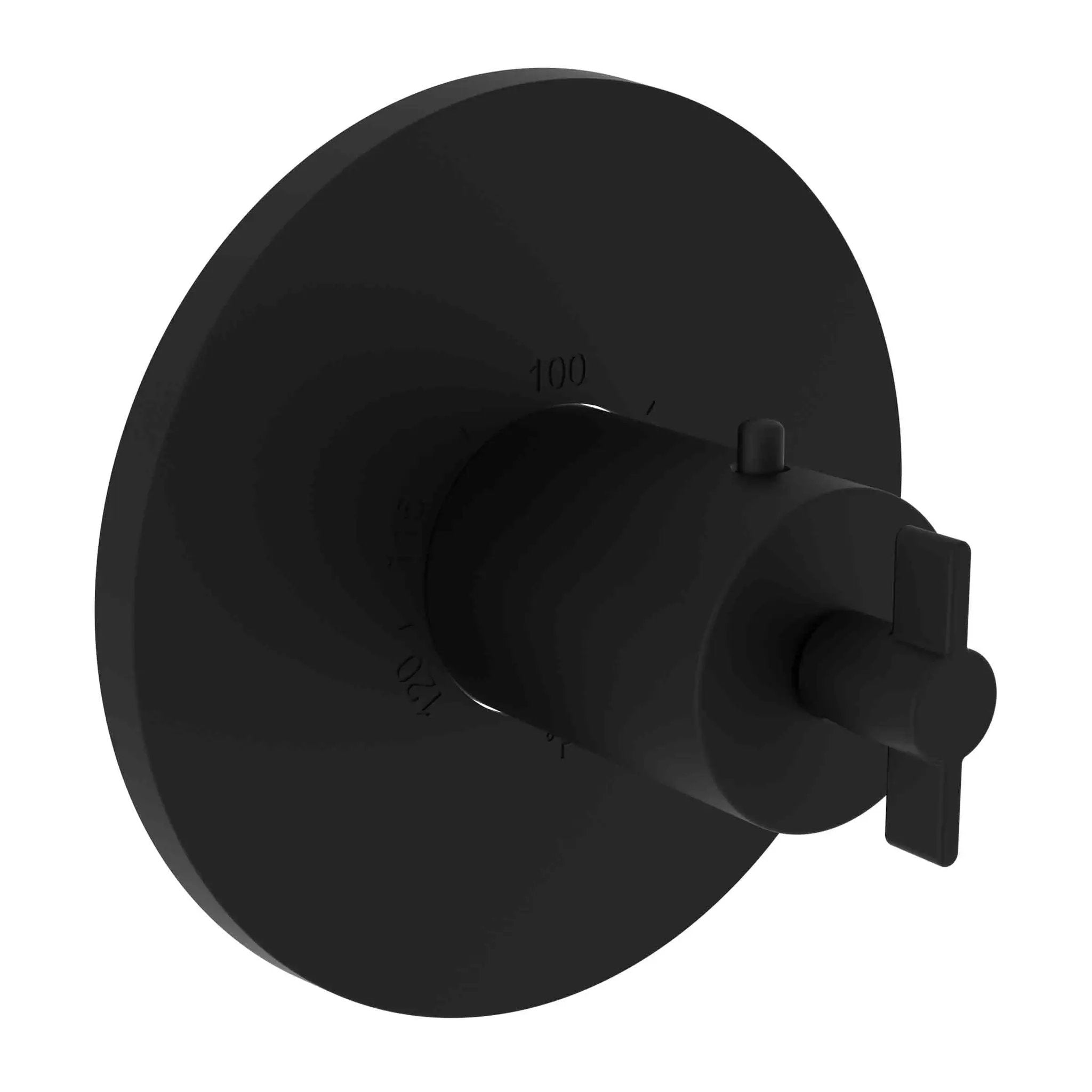 Newport Brass Tolmin 3/4" Round Thermostatic Trim Plate with Handle by Newport Brass