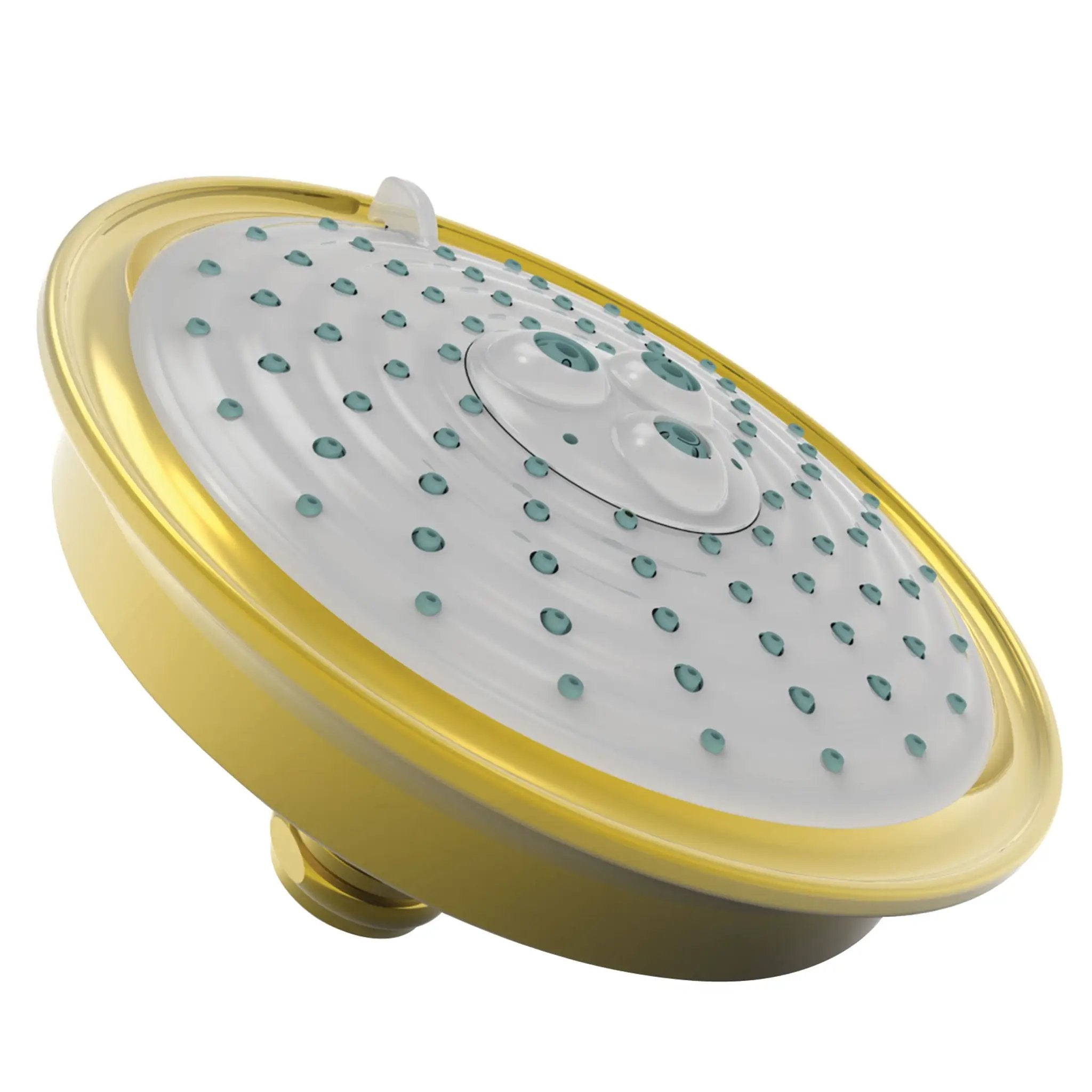 Newport Brass Tub & Shower Multifunction Showerhead by Newport Brass