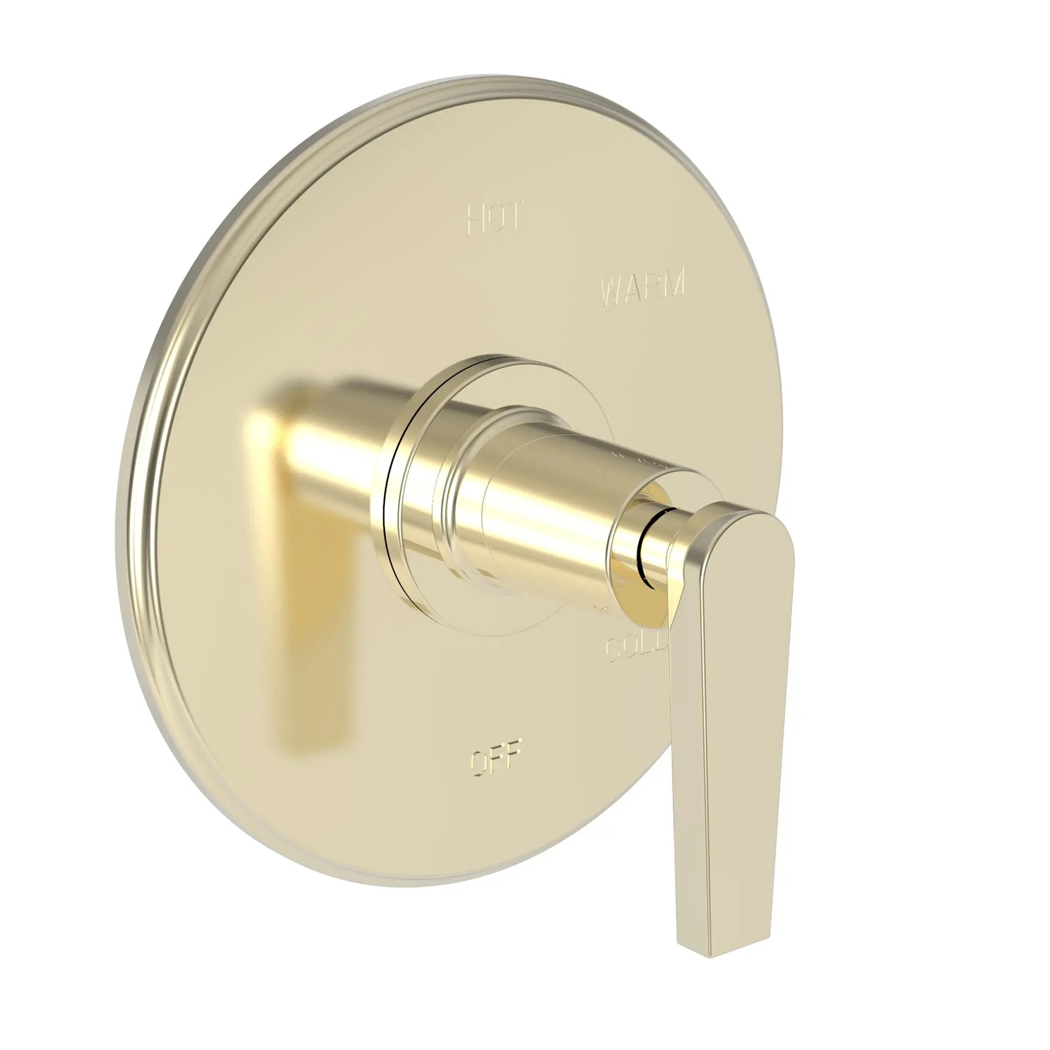 Newport Brass Dorrance Balanced Pressure Shower Trim Plate with Handle. Less showerhead, arm and flange. by Newport Brass