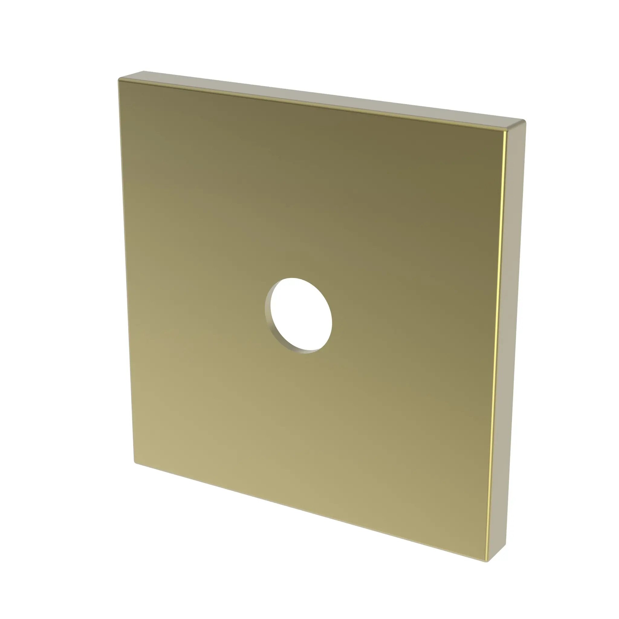 Newport Brass Tub & Shower Diverter Plate by Newport Brass