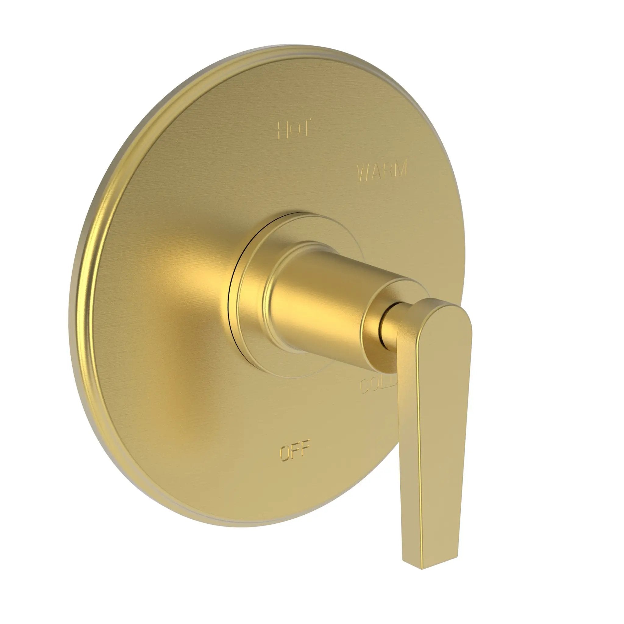 Newport Brass Dorrance Balanced Pressure Shower Trim Plate with Handle. Less showerhead, arm and flange. by Newport Brass