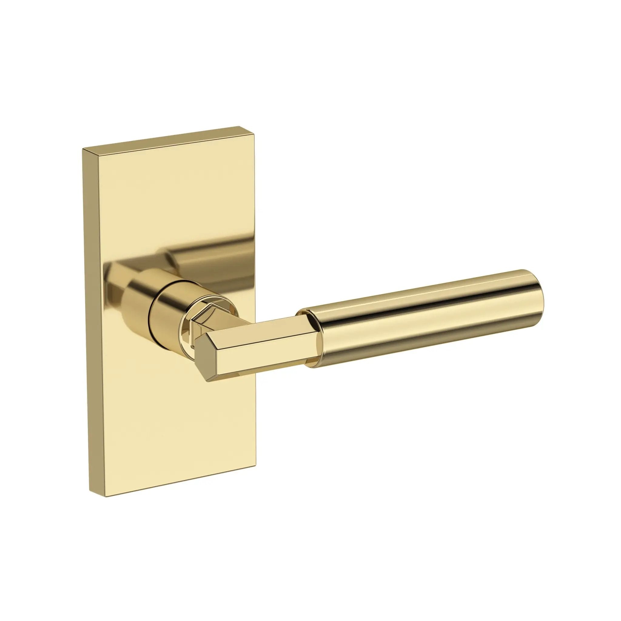 Baldwin Reserve Riddling Lever with Contemporary 5" Rose by Baldwin