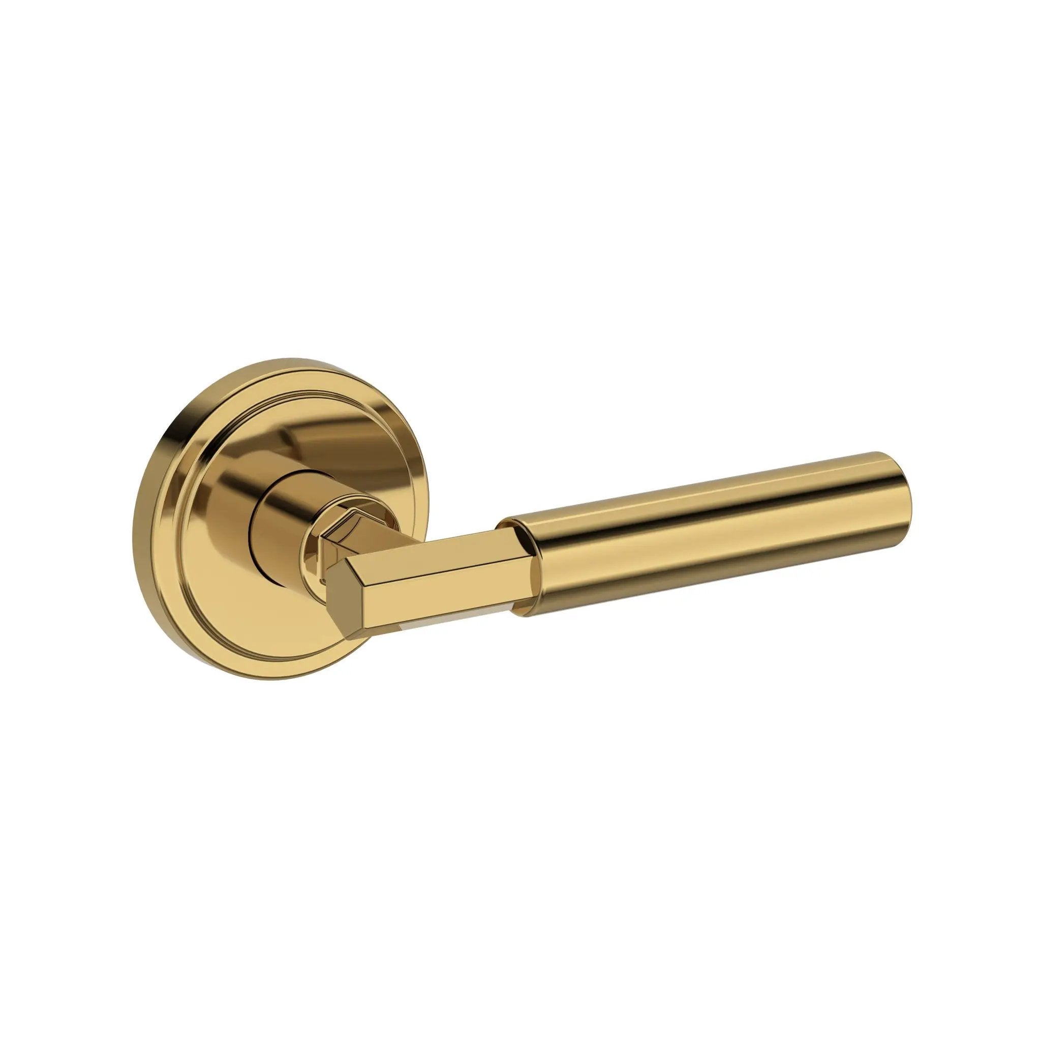 Baldwin Reserve Riddling Lever with Stepped Round Rose by Baldwin