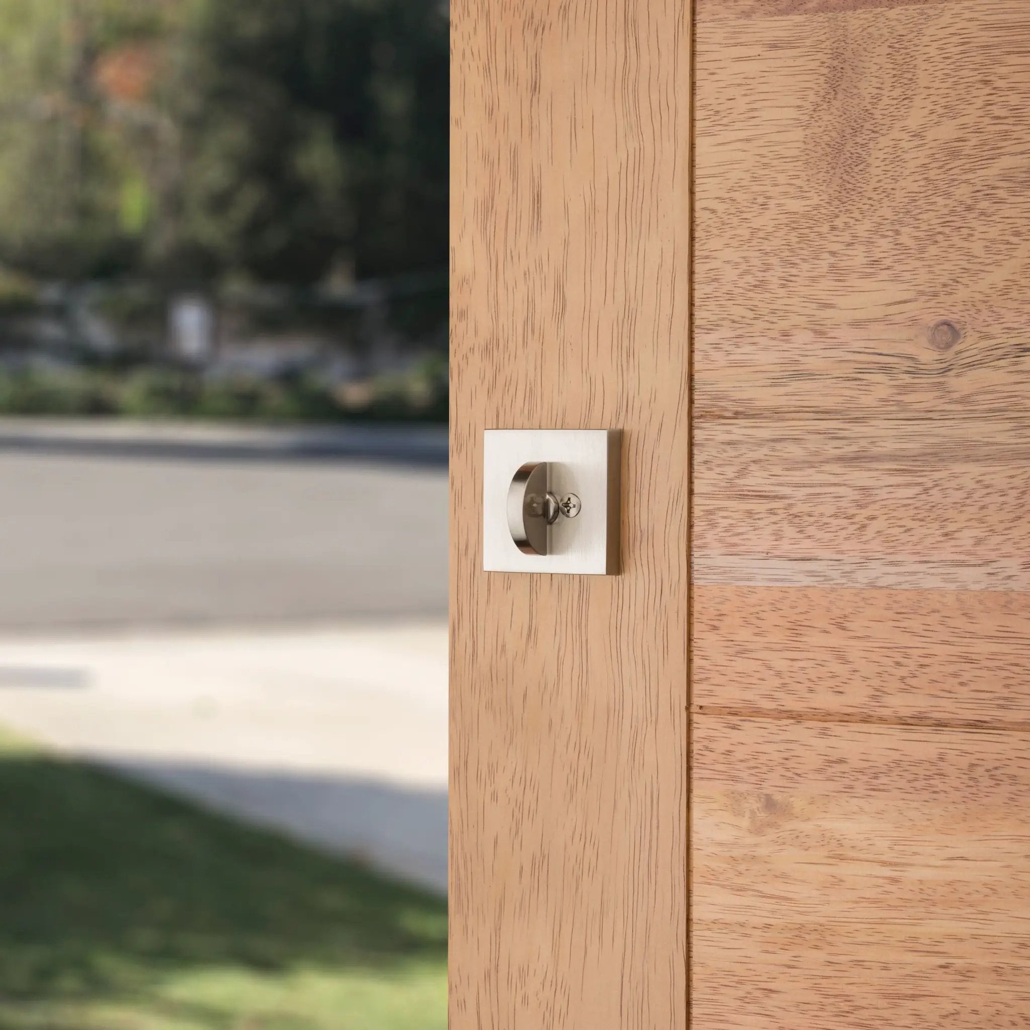 satin nickel door knob