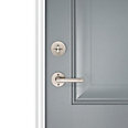 satin nickel door handle and lever