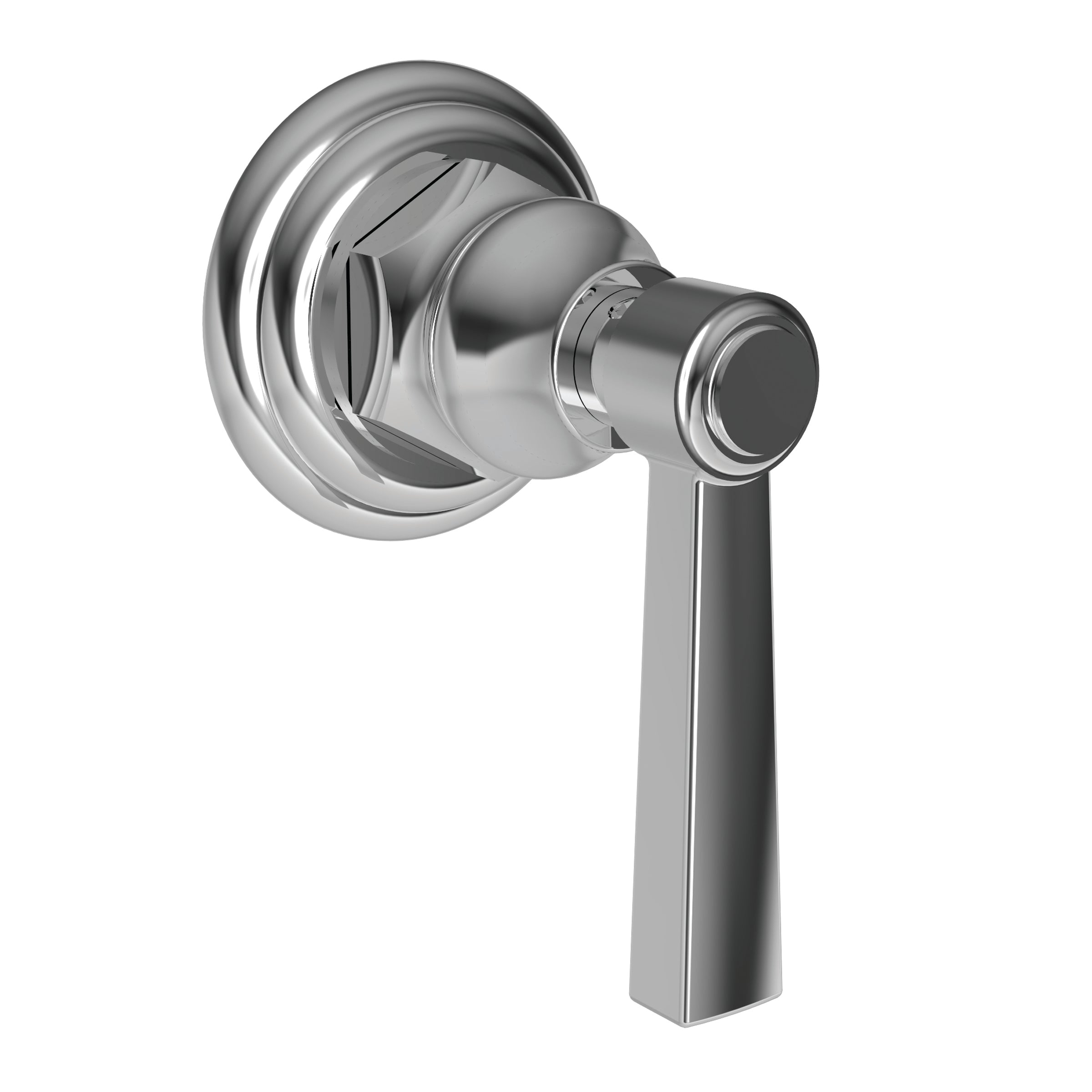 polished chrome control handle