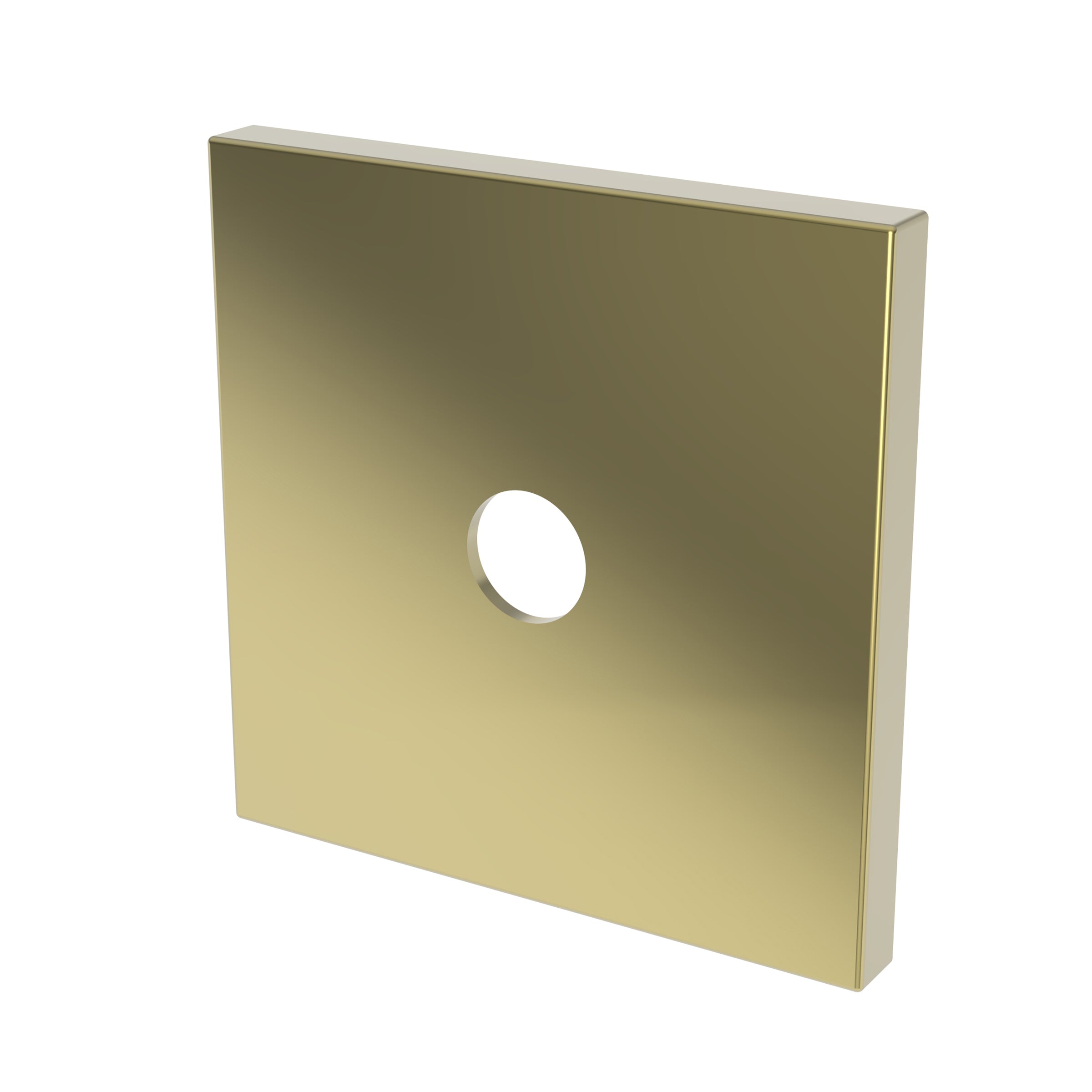 Newport Brass Tub & Shower Diverter Plate