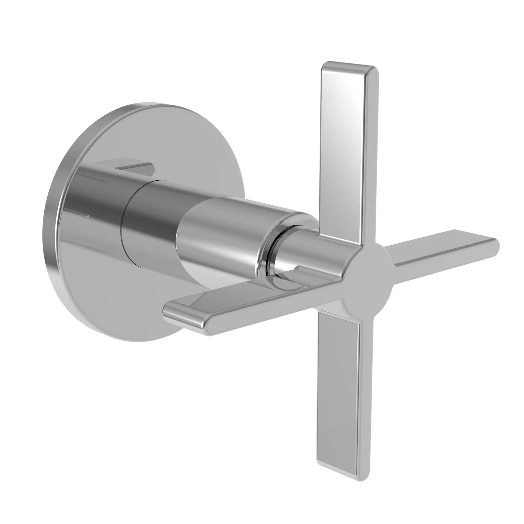 polished chrome control handle