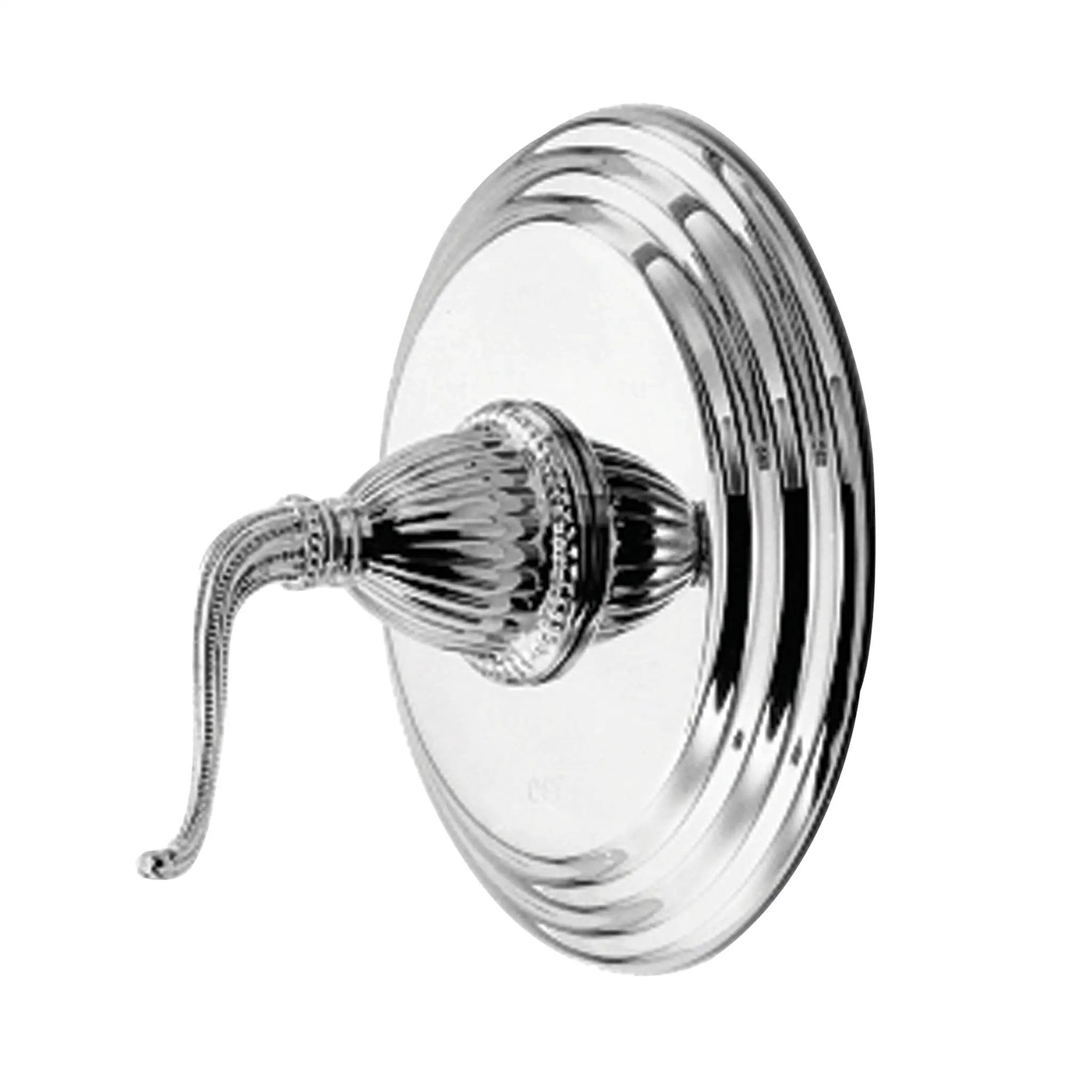 Polished Chrome Trim Plate
