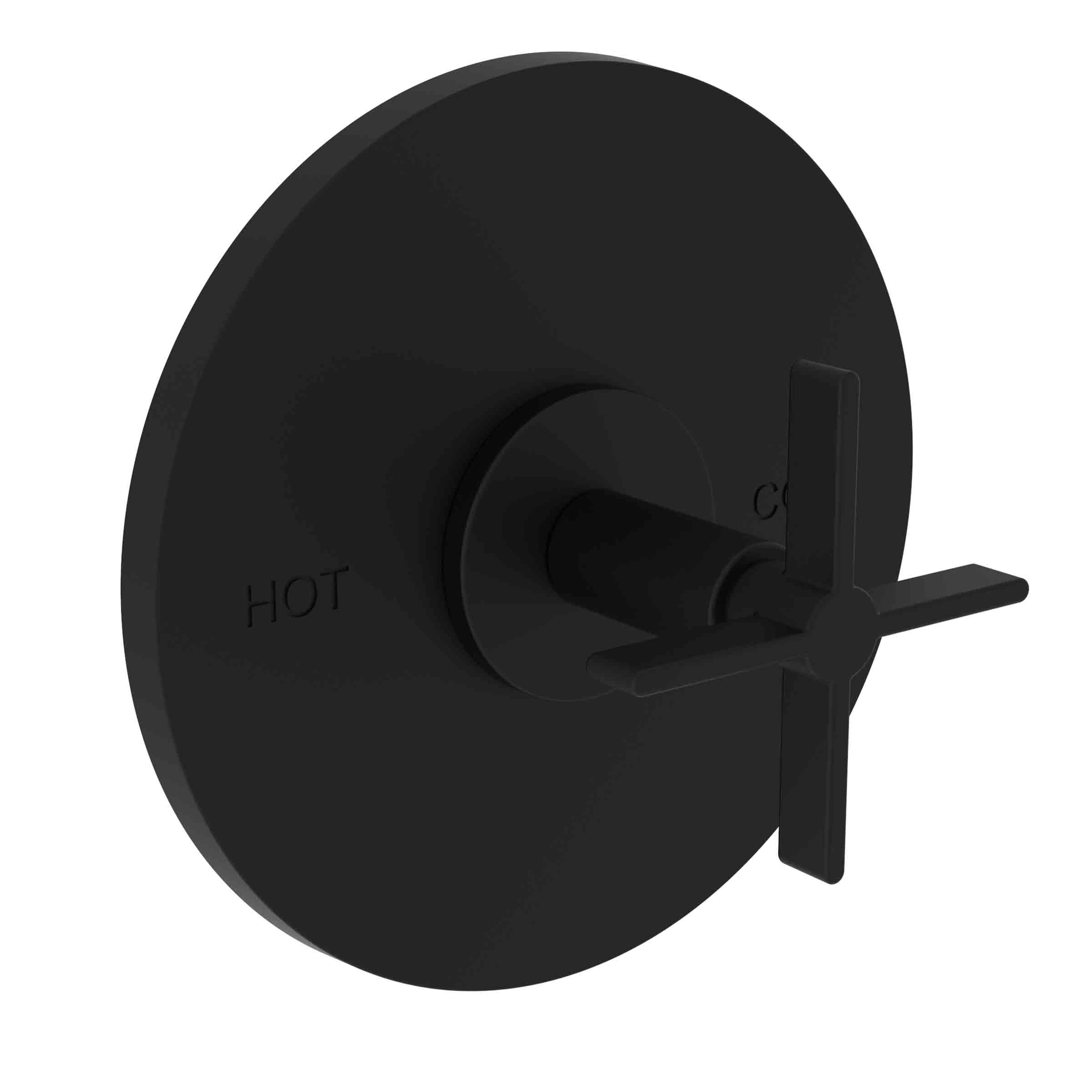 Newport Brass Tolmin Balanced Pressure Shower Trim Plate with Handle. Less showerhead, arm and flange.